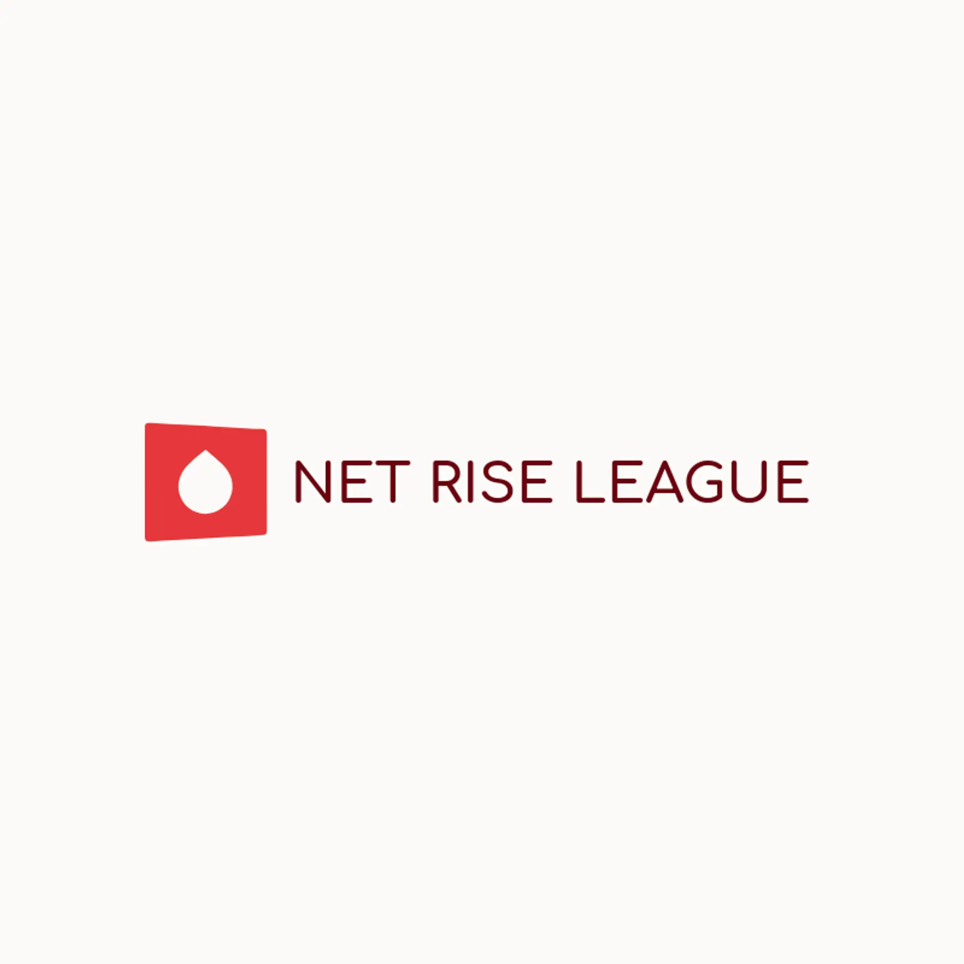Net Rise League logo for netball