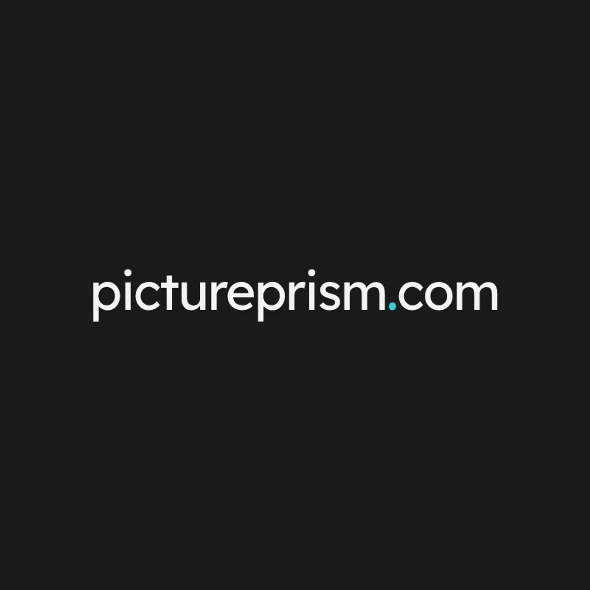 Picture Prism logo for best photography