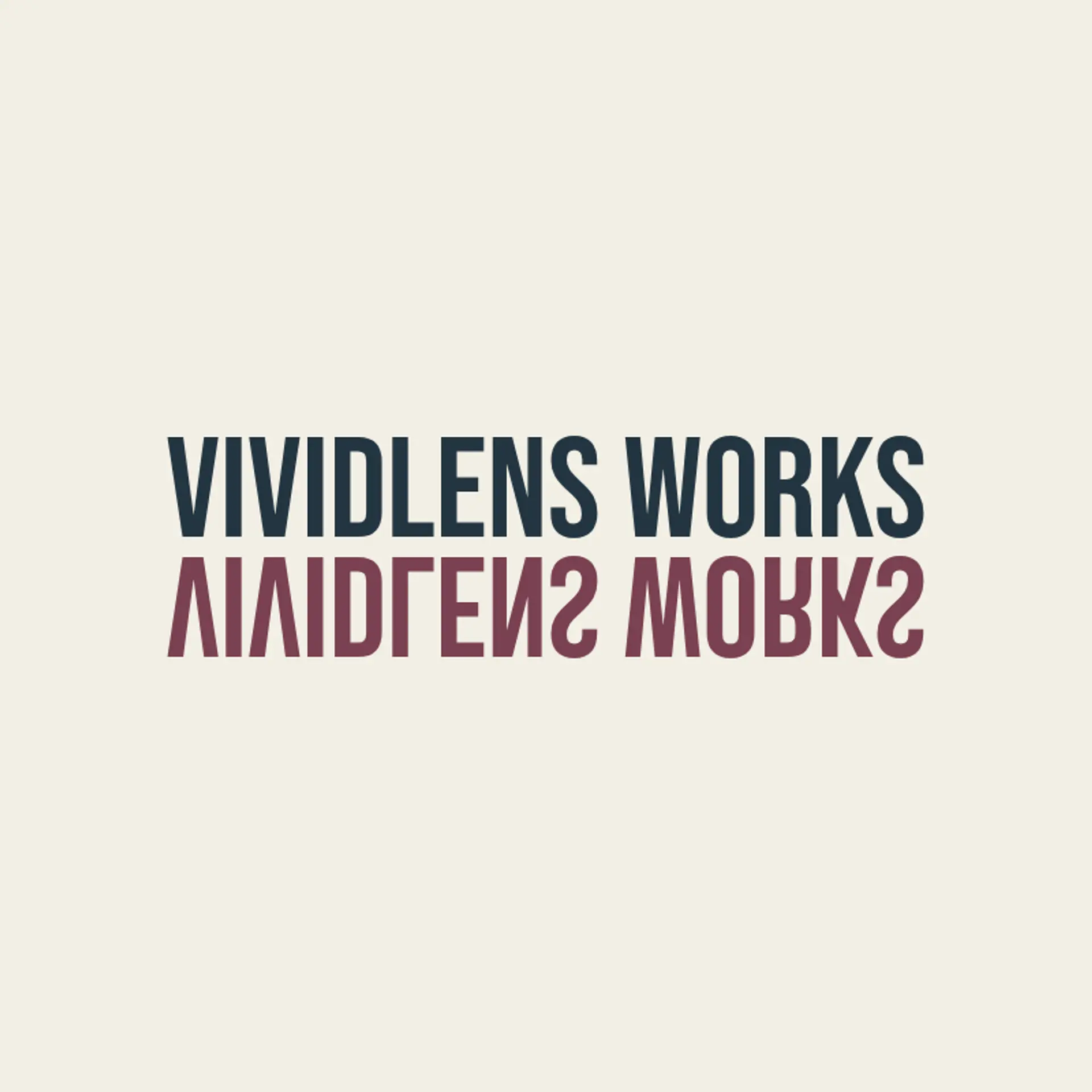 VividLens Works logo for unique photography