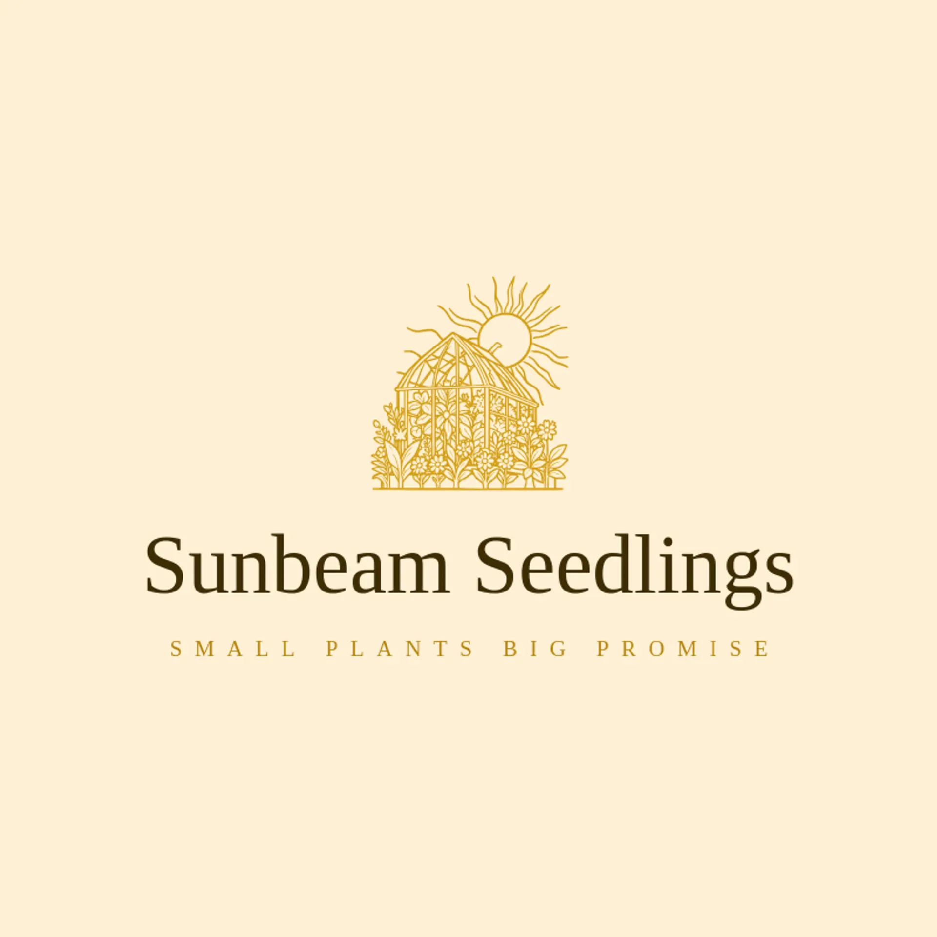 Sunbeam Seedlings logo for greenhouse