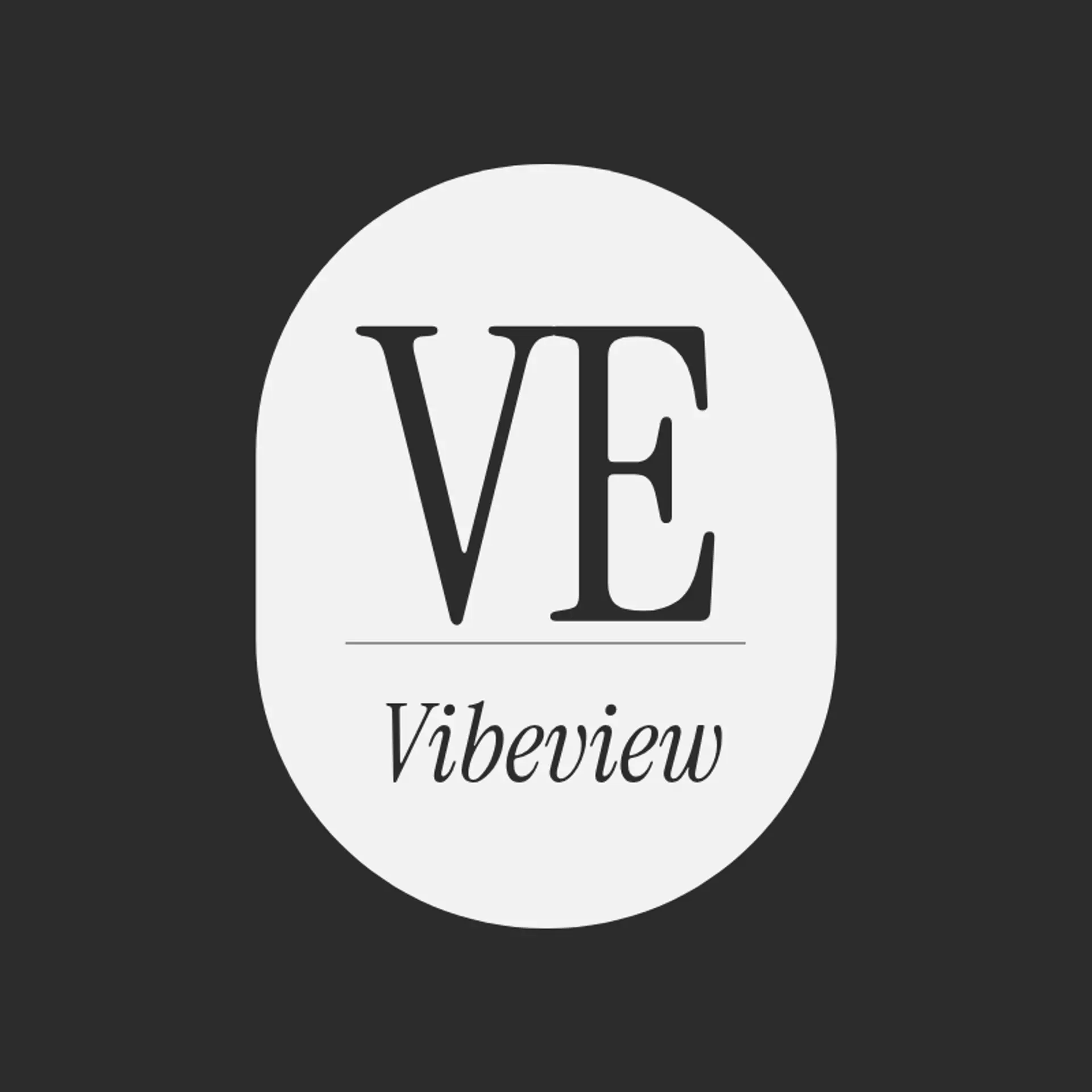 VibeView logo for cool photography