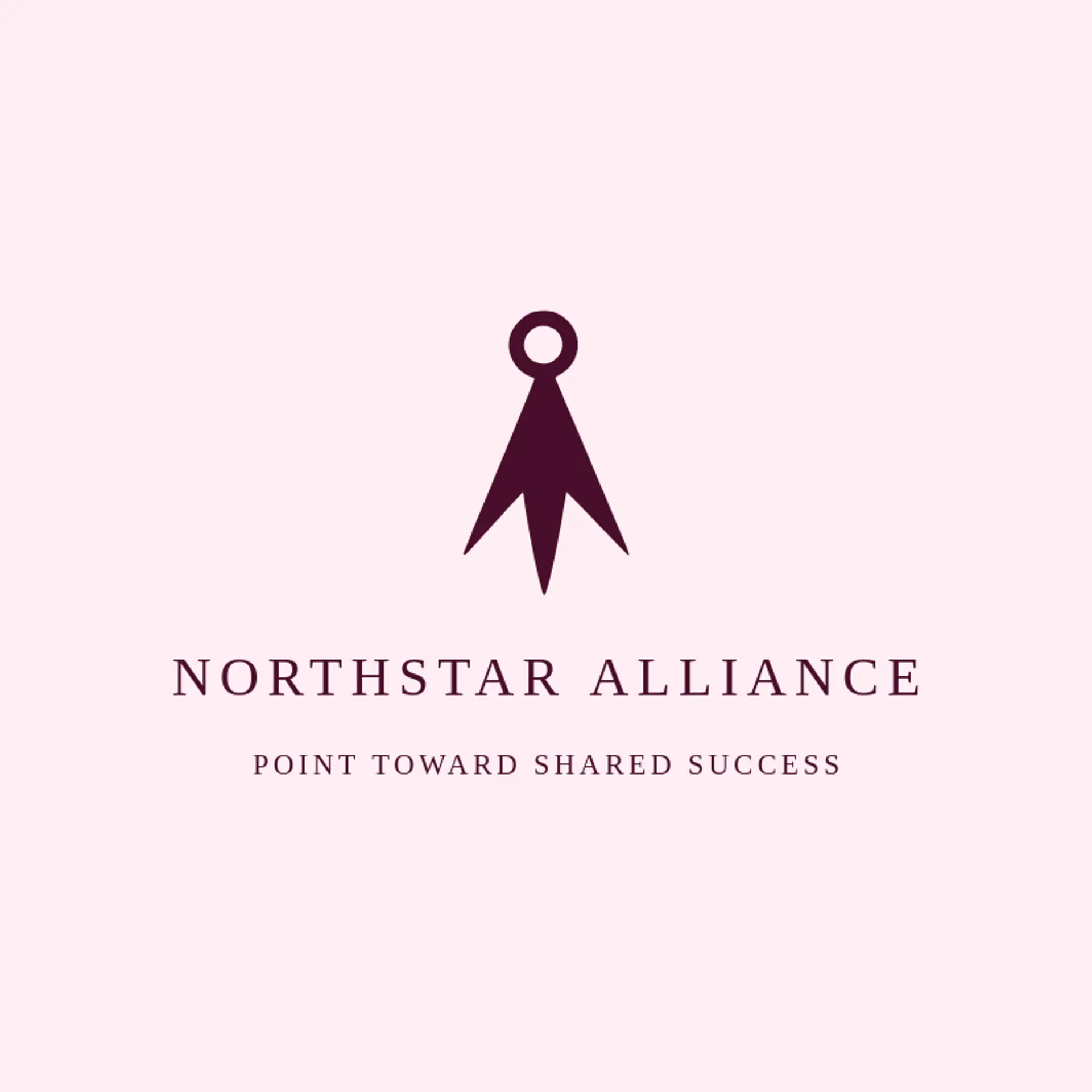 Northstar Alliance logo for partner