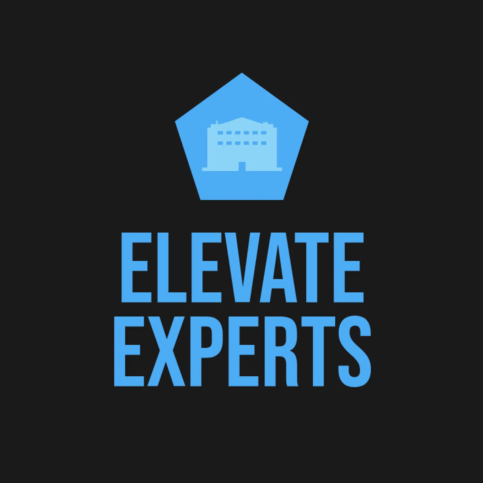 Elevate Experts logo for consulting firm