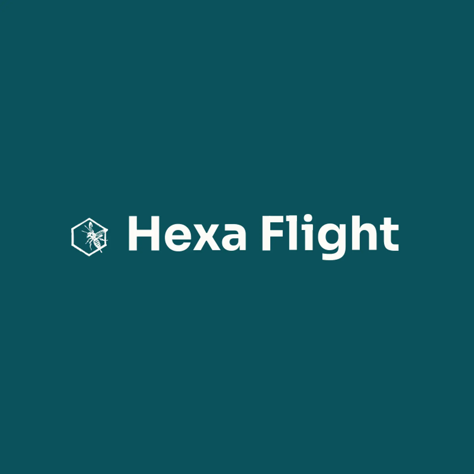 Hexa Flight logo for hornet