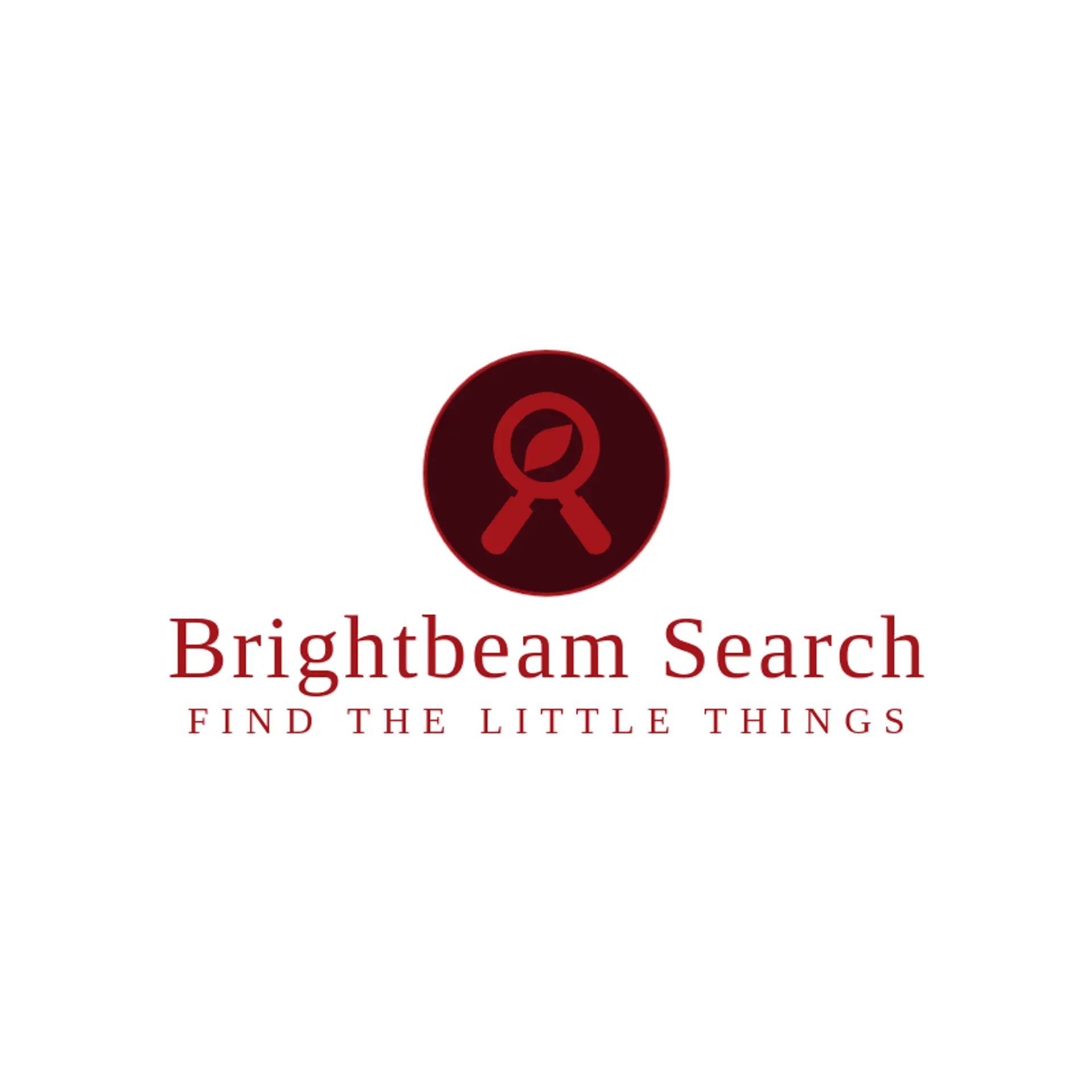 Brightbeam Search logo for magnifying glass
