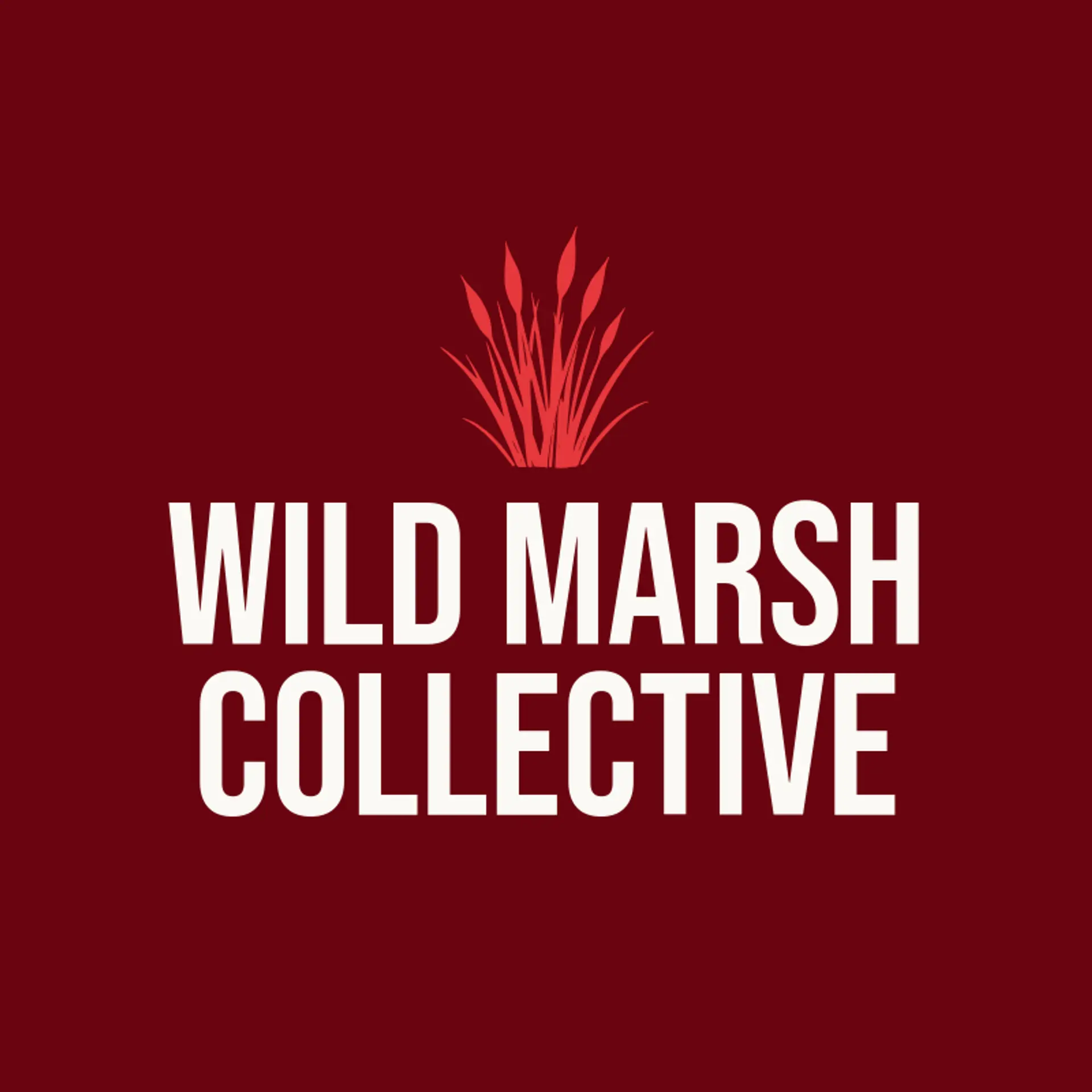 Wild Marsh Collective logo for marsh