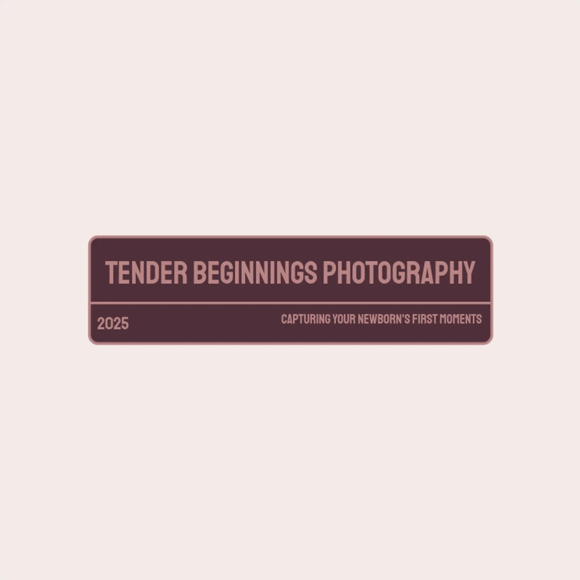 Tender Beginnings Photography logo for newborn photography