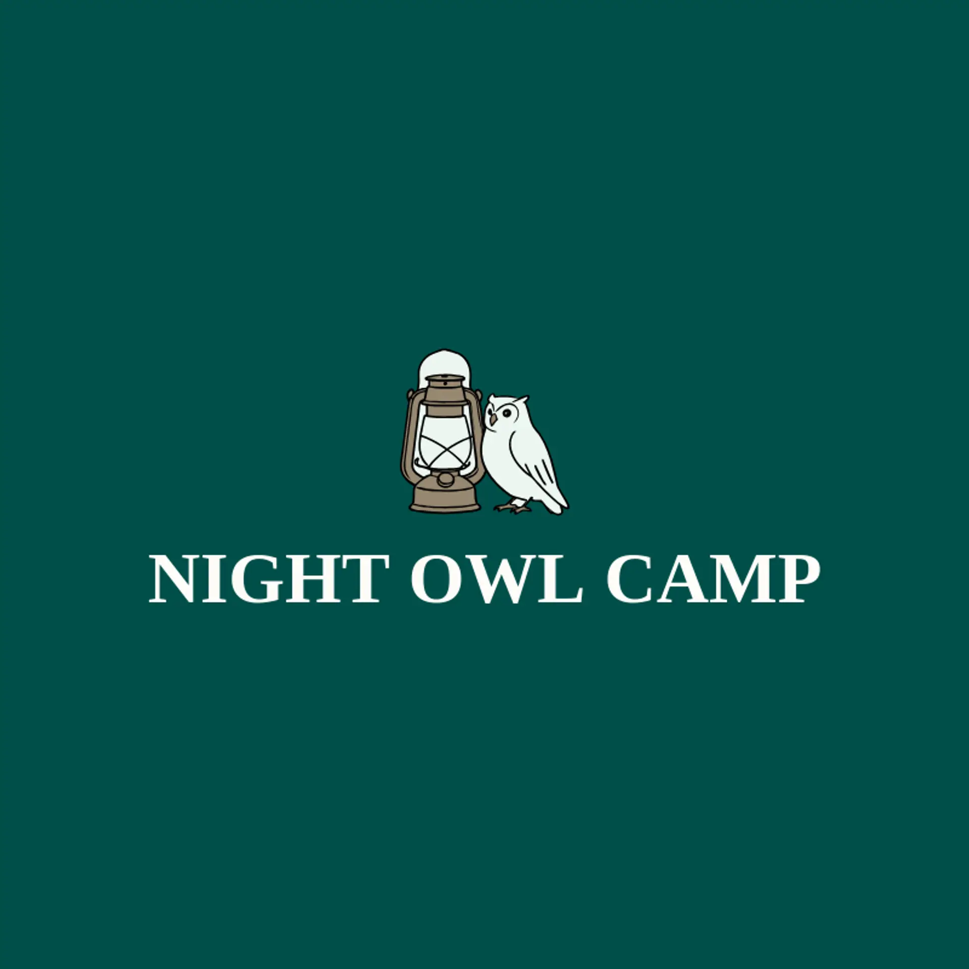 Night Owl Camp logo for camp