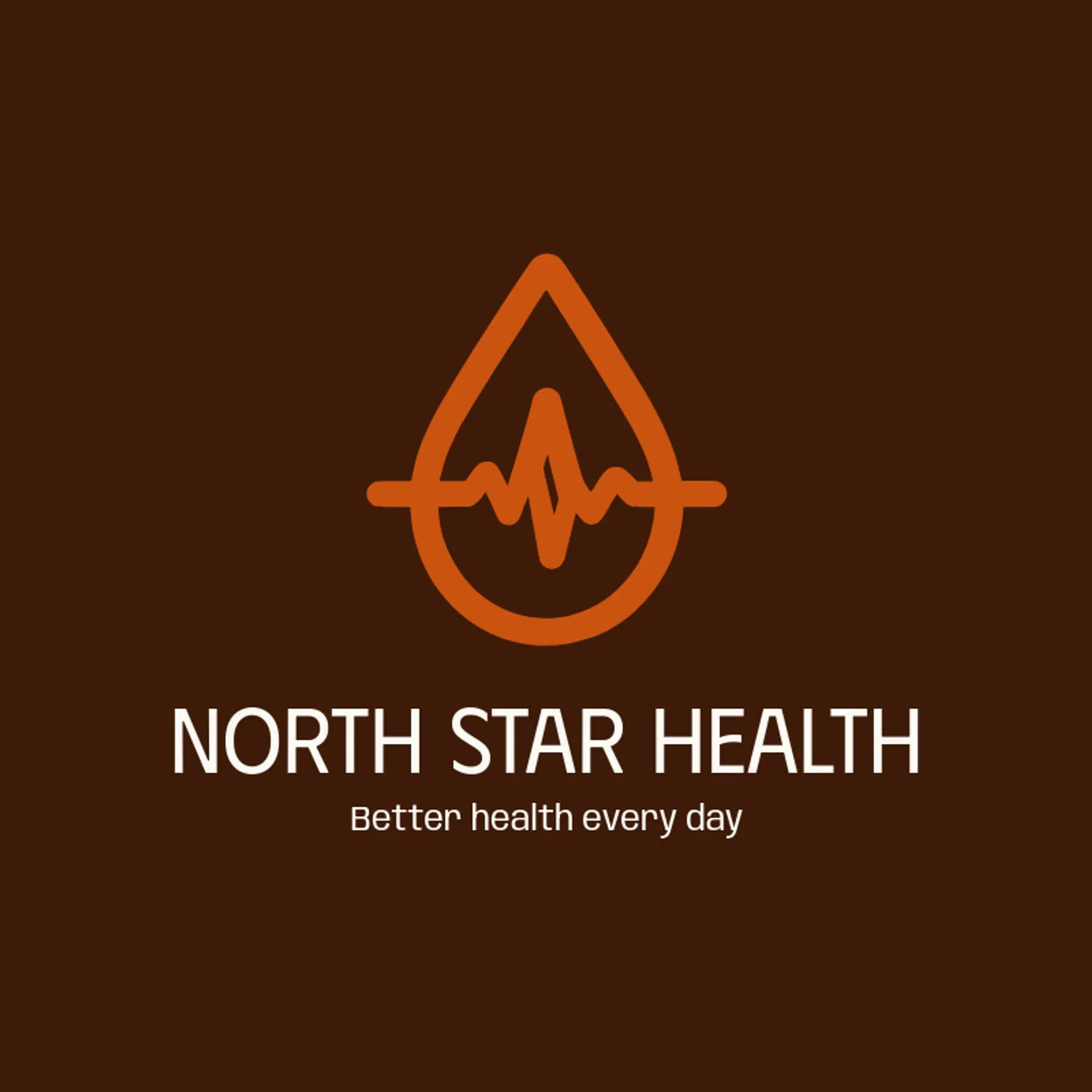 North Star Health logo for medicine