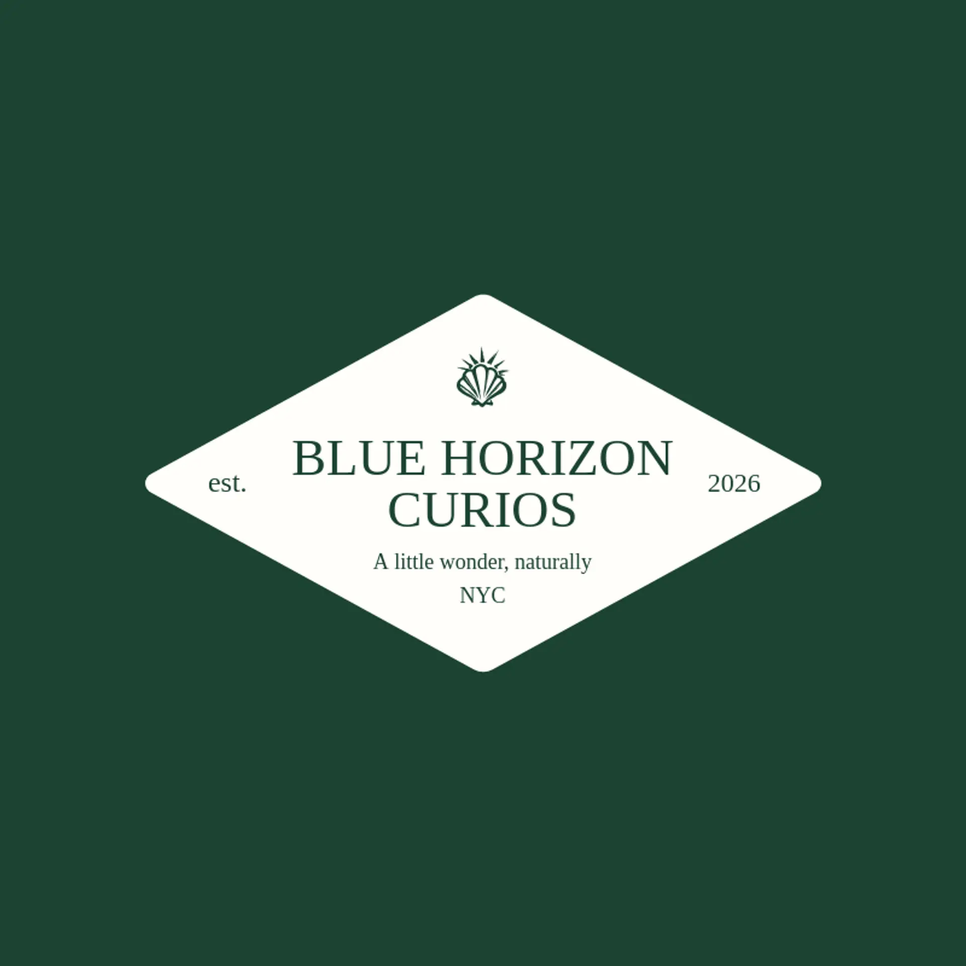 Blue Horizon Curios logo for shell