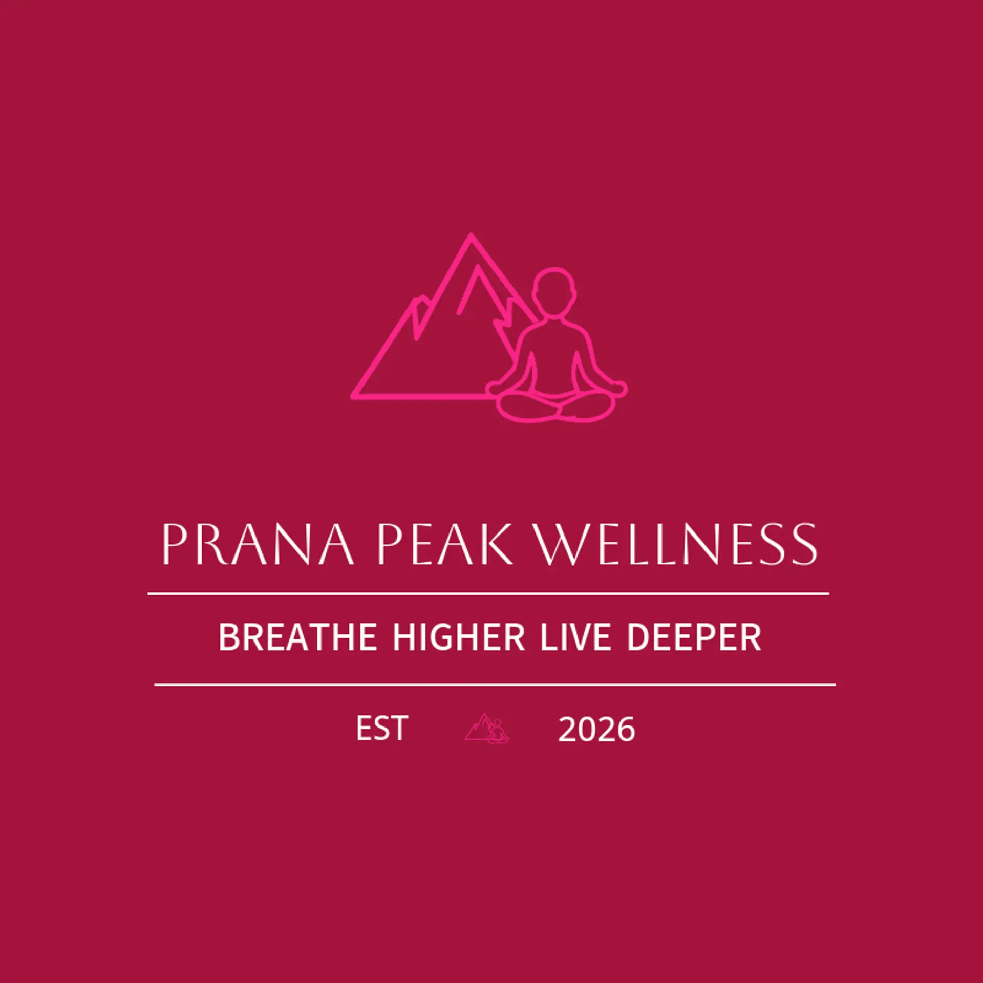Prana Peak Wellness logo for ayurvedic