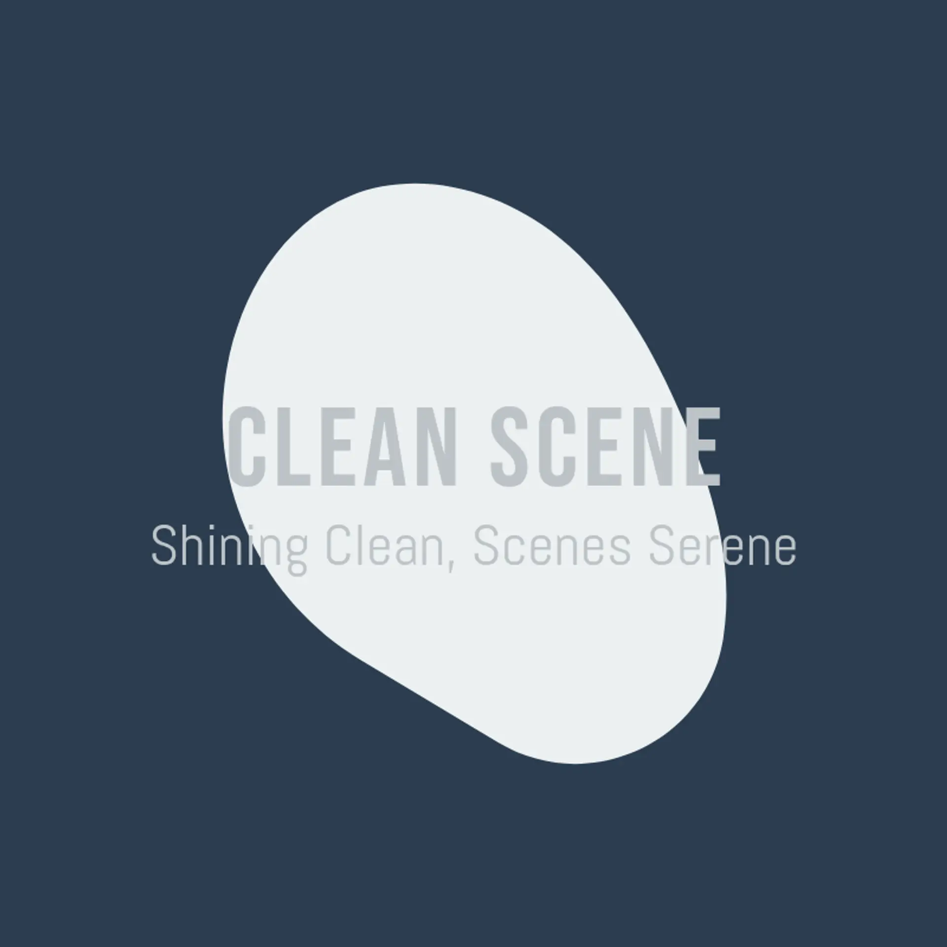 Clean Scene logo for cleaning services