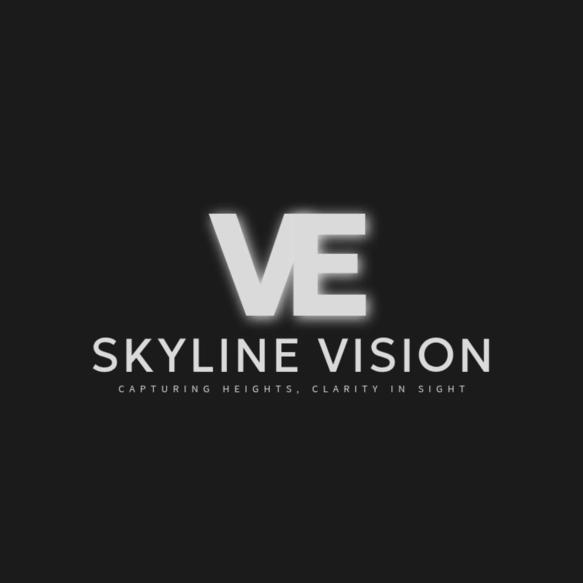 Skyline Vision logo for aerial photography