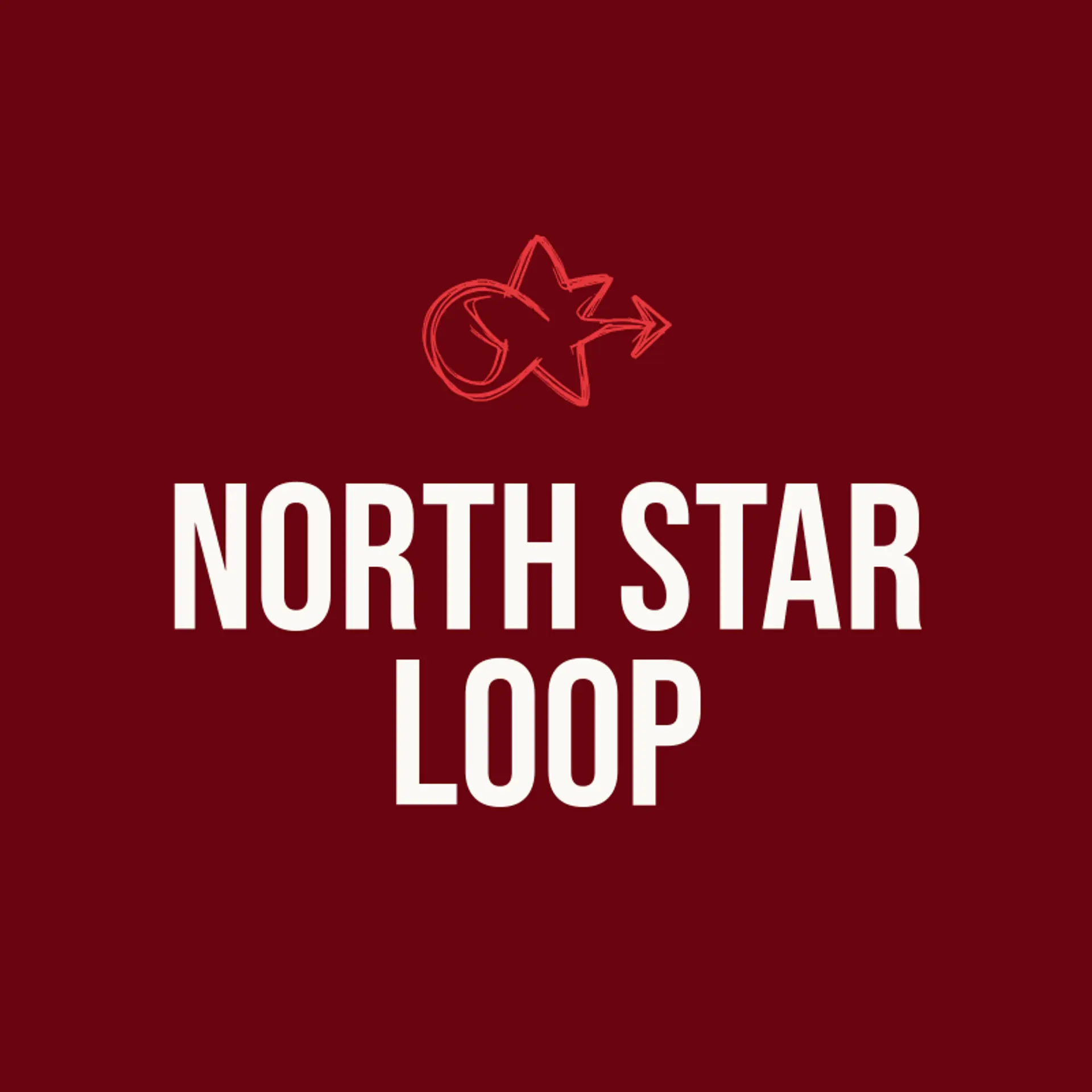 North Star Loop logo for infinity