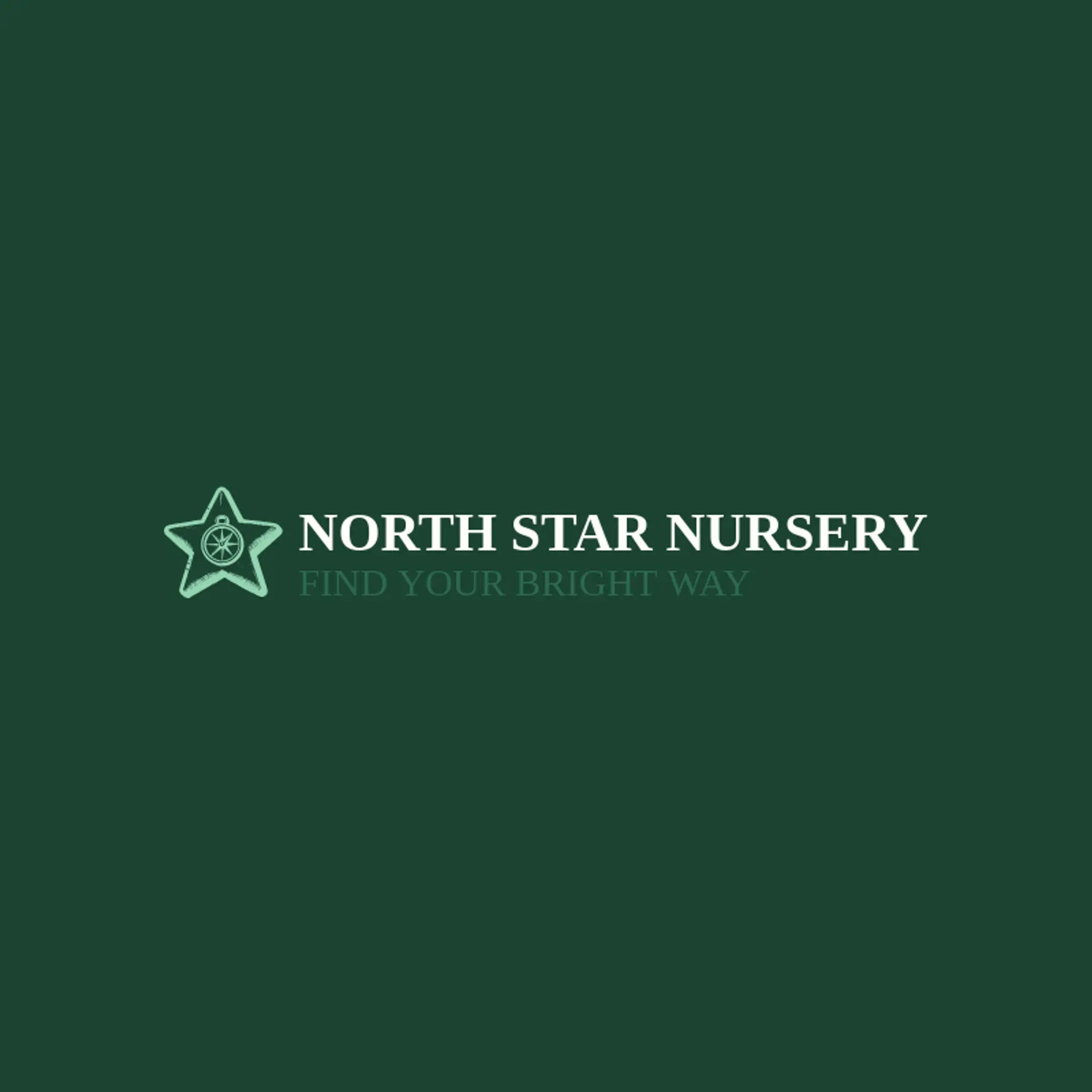 North Star Nursery logo for kindergarten