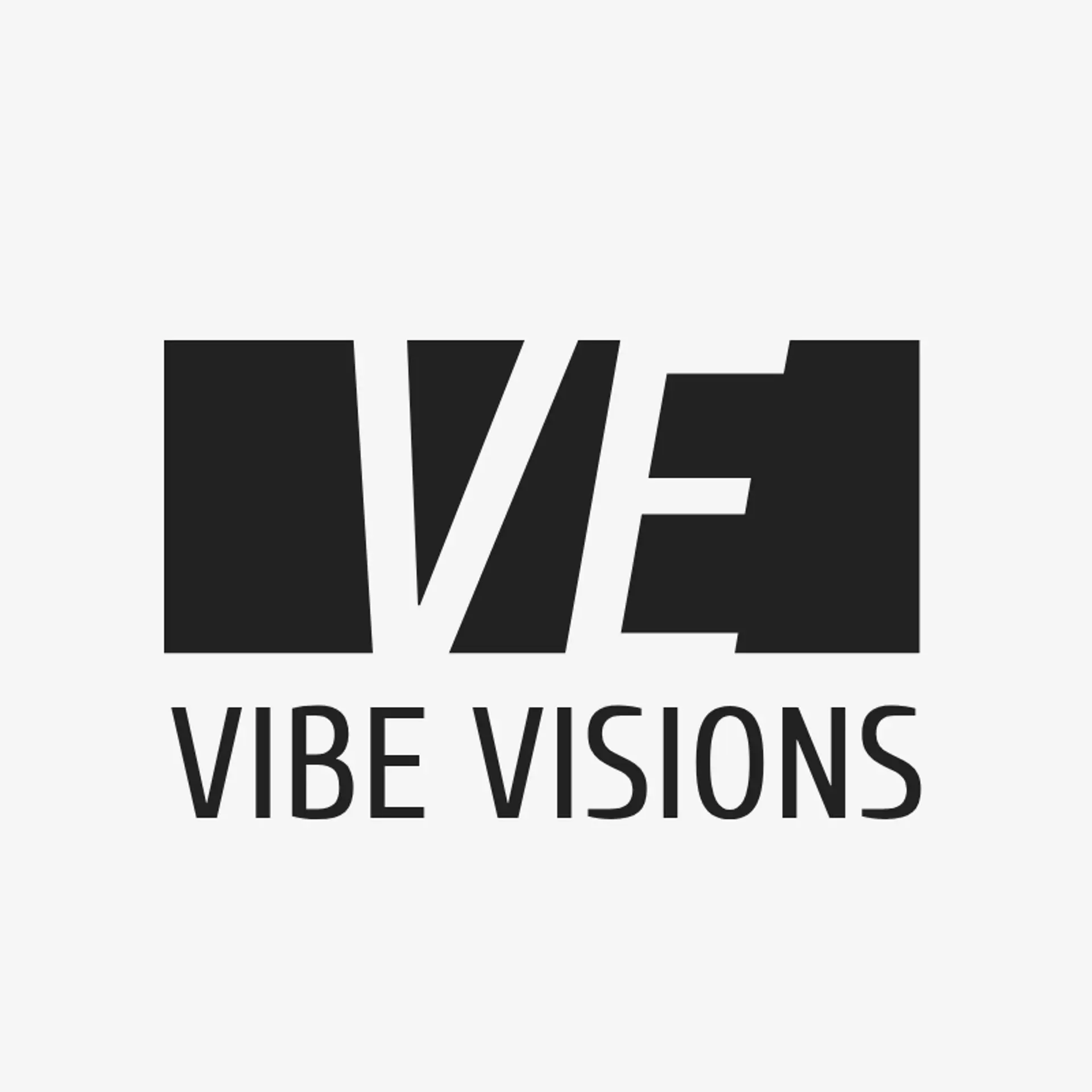 Vibe Visions logo for best photography
