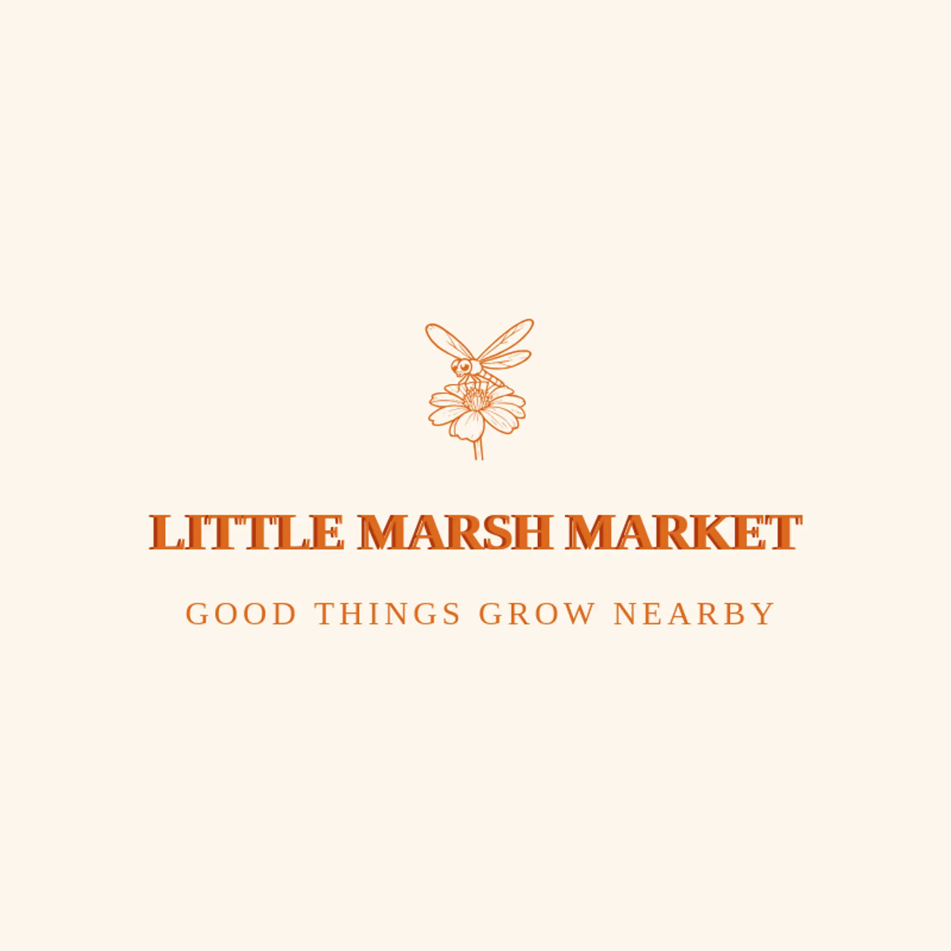 Little Marsh Market logo for dragonfly