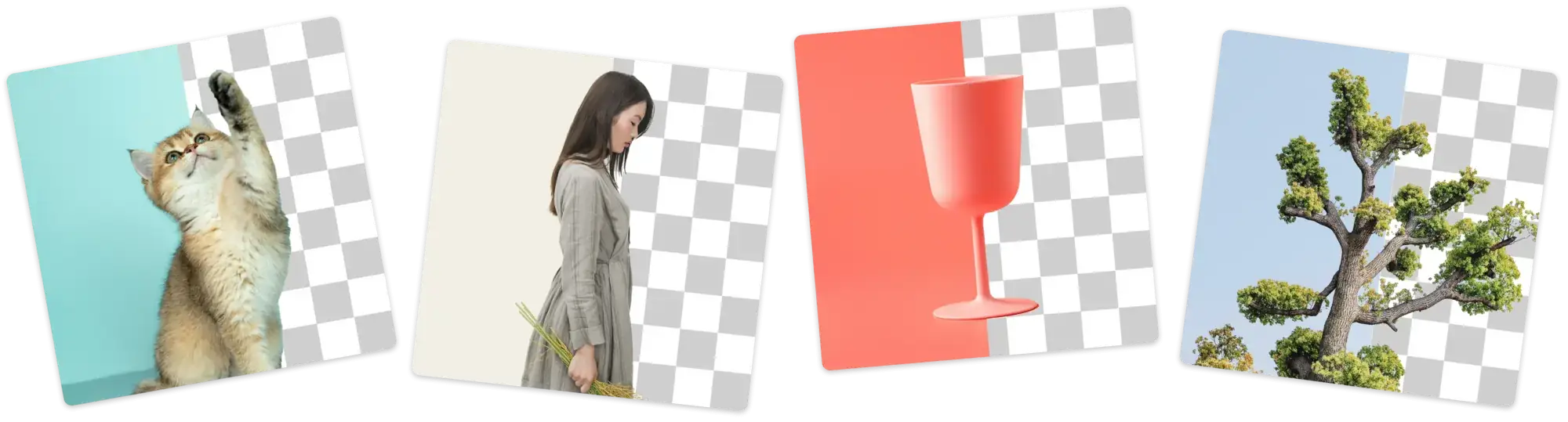 Remove background from any image
