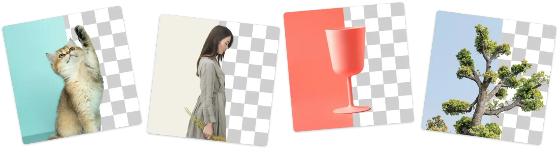 Remove background from any image