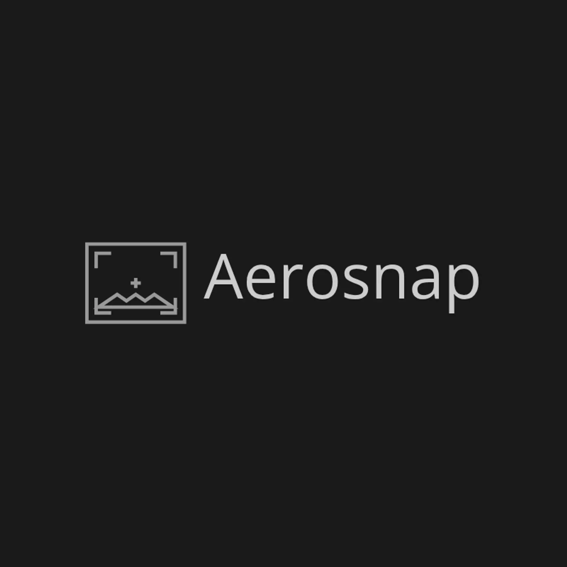 AerialNest logo for drone photography
