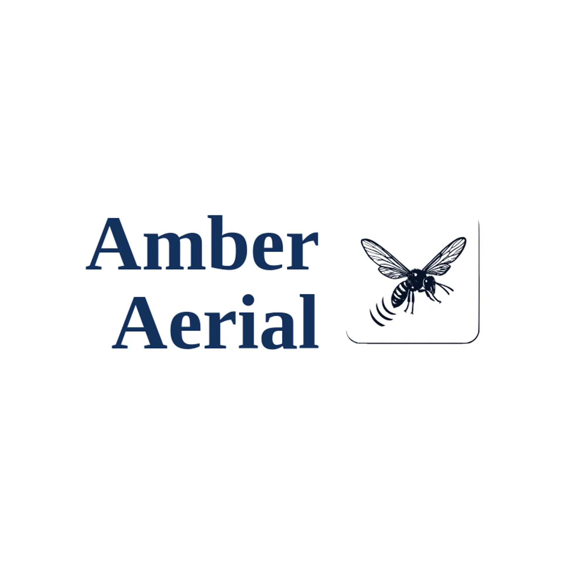 Amber Aerial logo for wasp