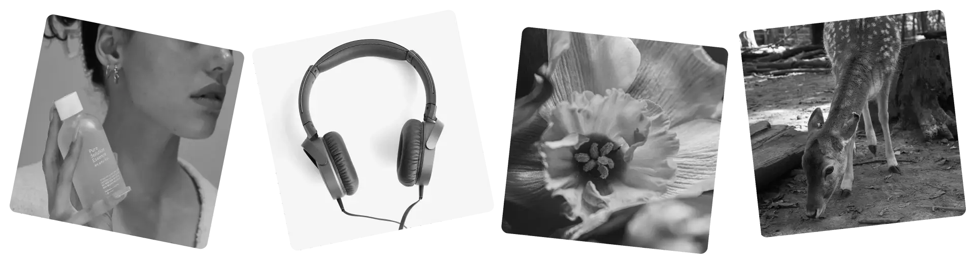 make images black and white