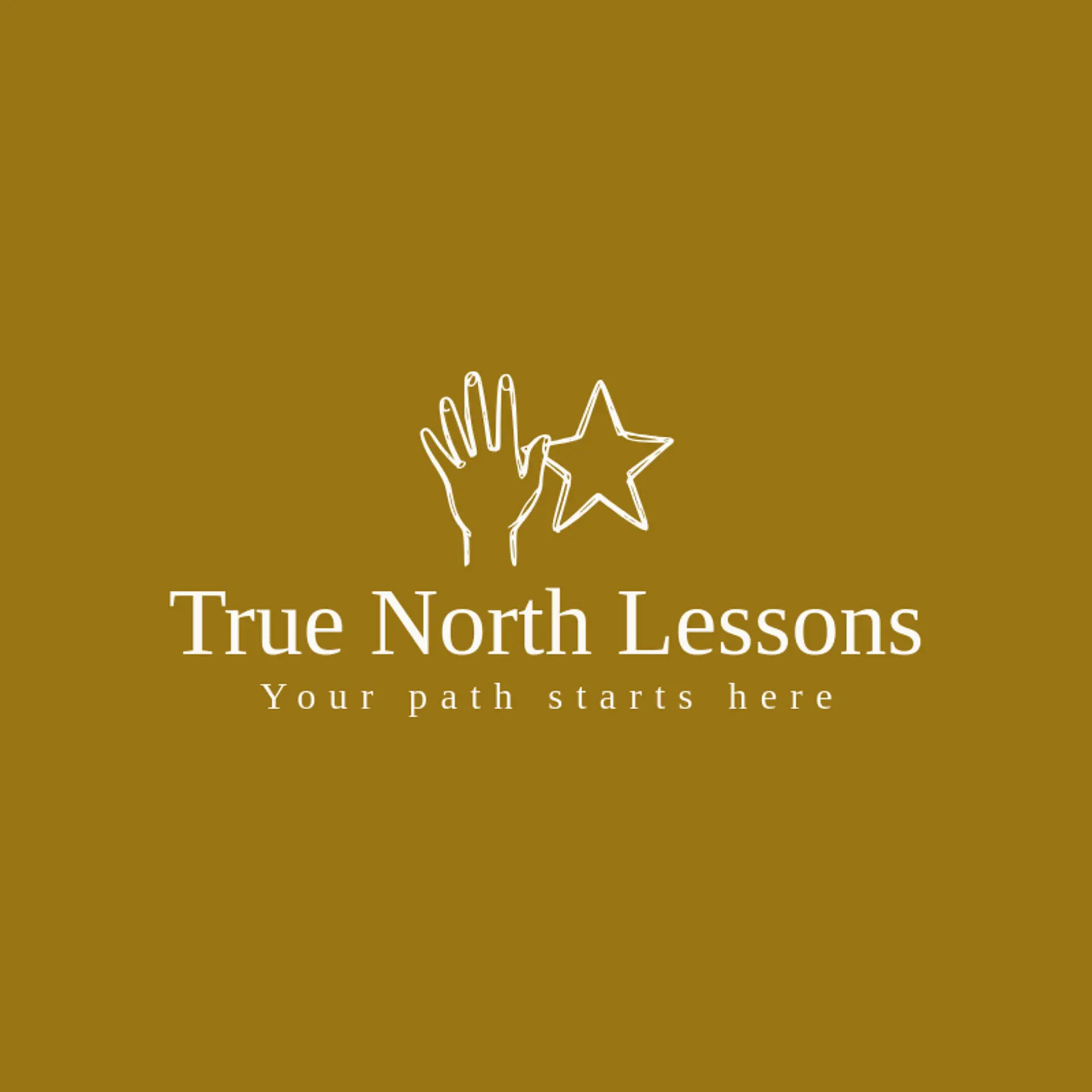 True North Lessons logo for learning