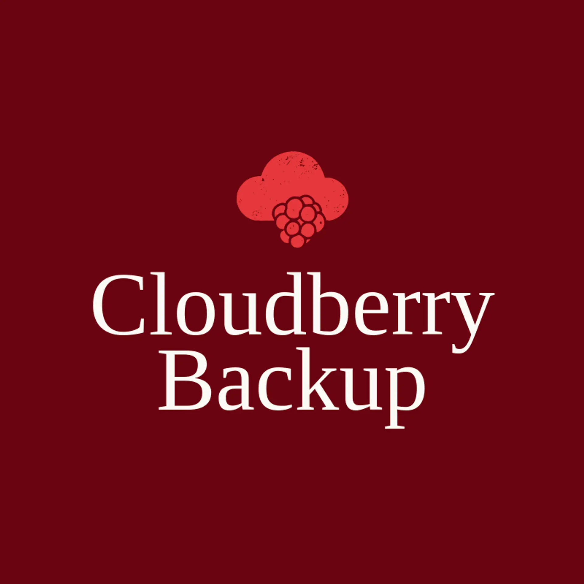 Cloudberry Backup logo for cloud storage