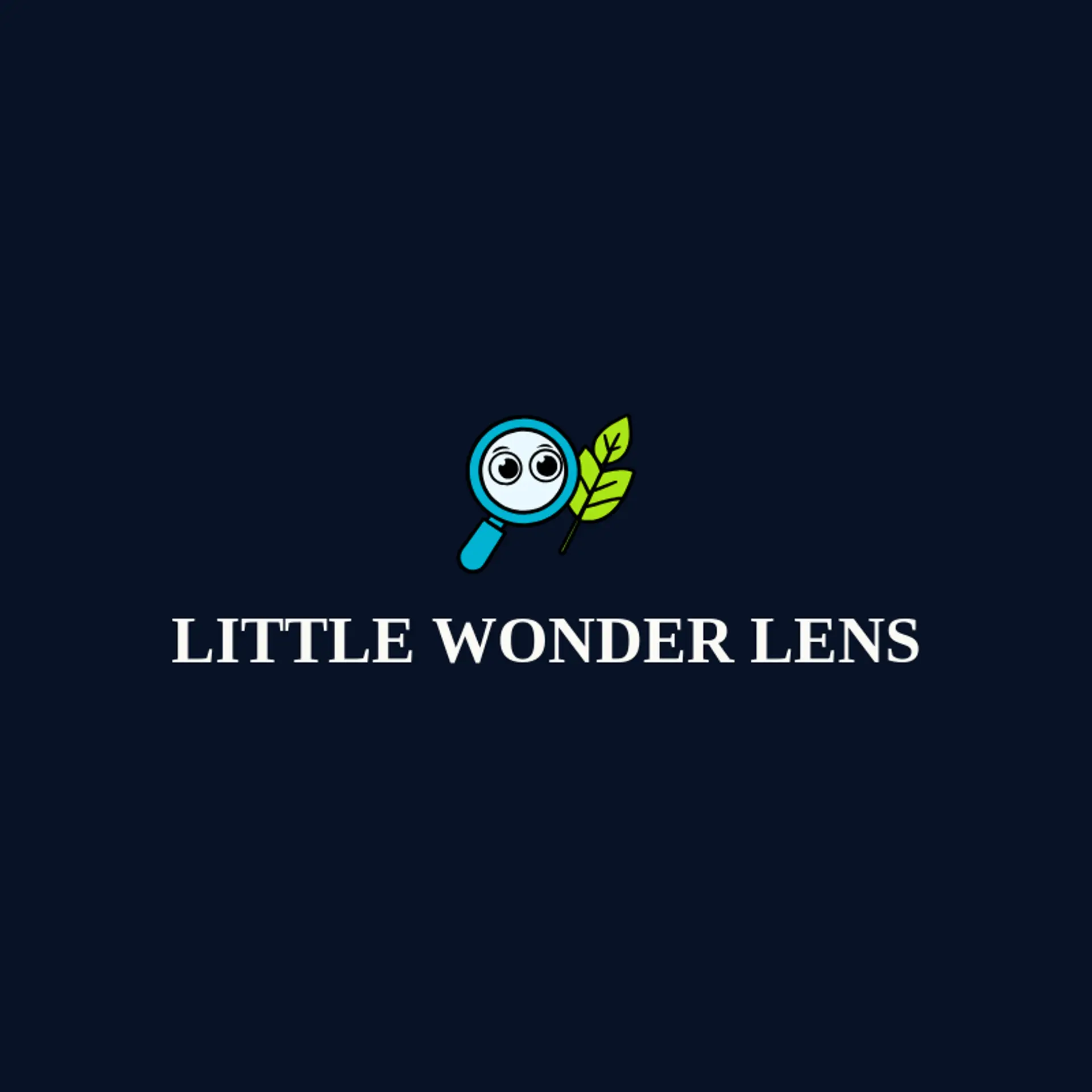 Little Wonder Lens logo for magnifying glass