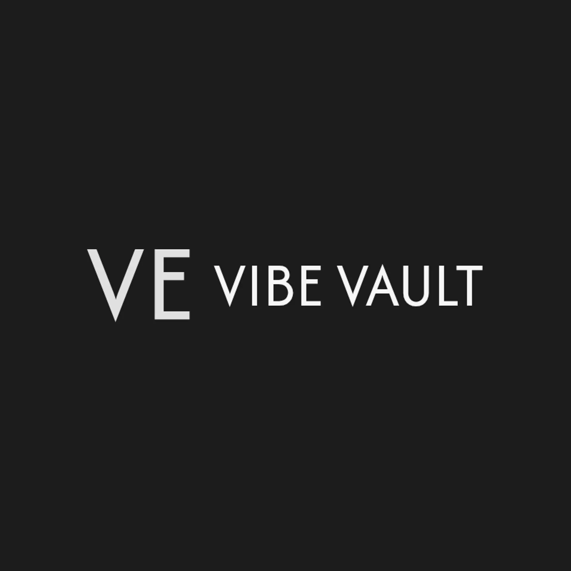 Vibe Vault logo for fashion clothing
