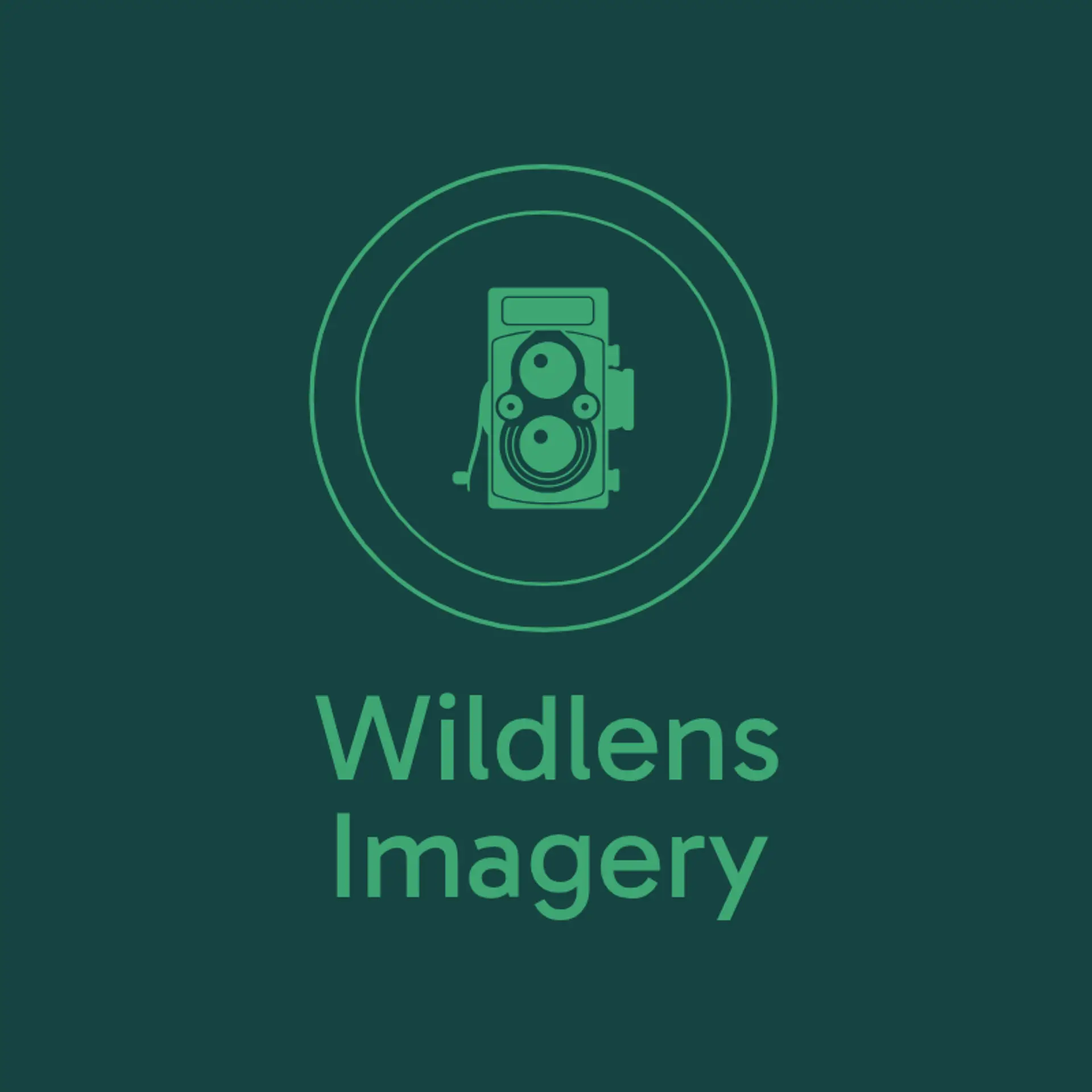 Lens & Wild logo for wildlife photography