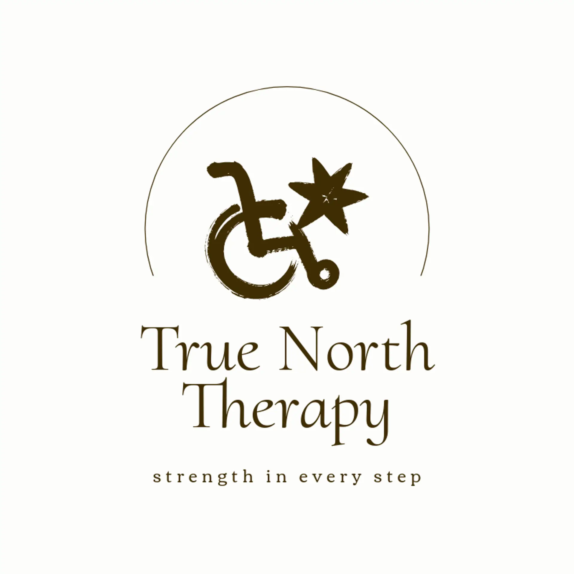 True North Therapy logo for disability
