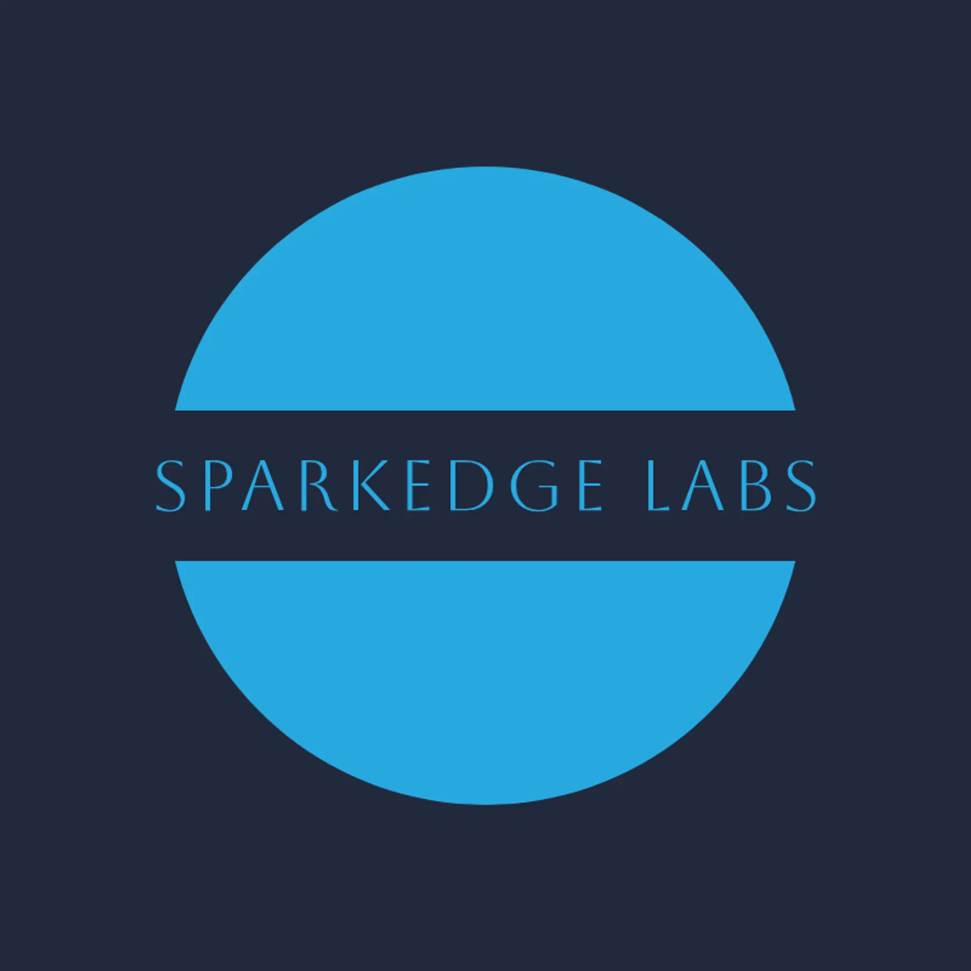 LiftSpark logo for startup