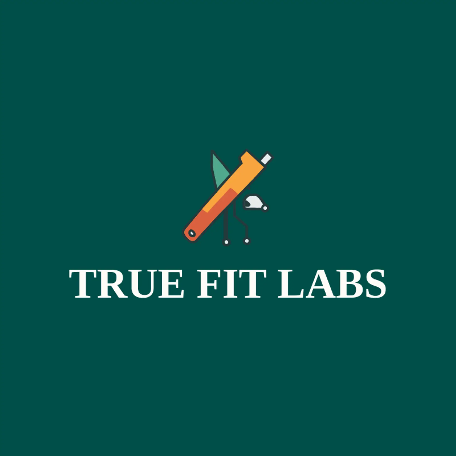 True Fit Labs logo for engineer
