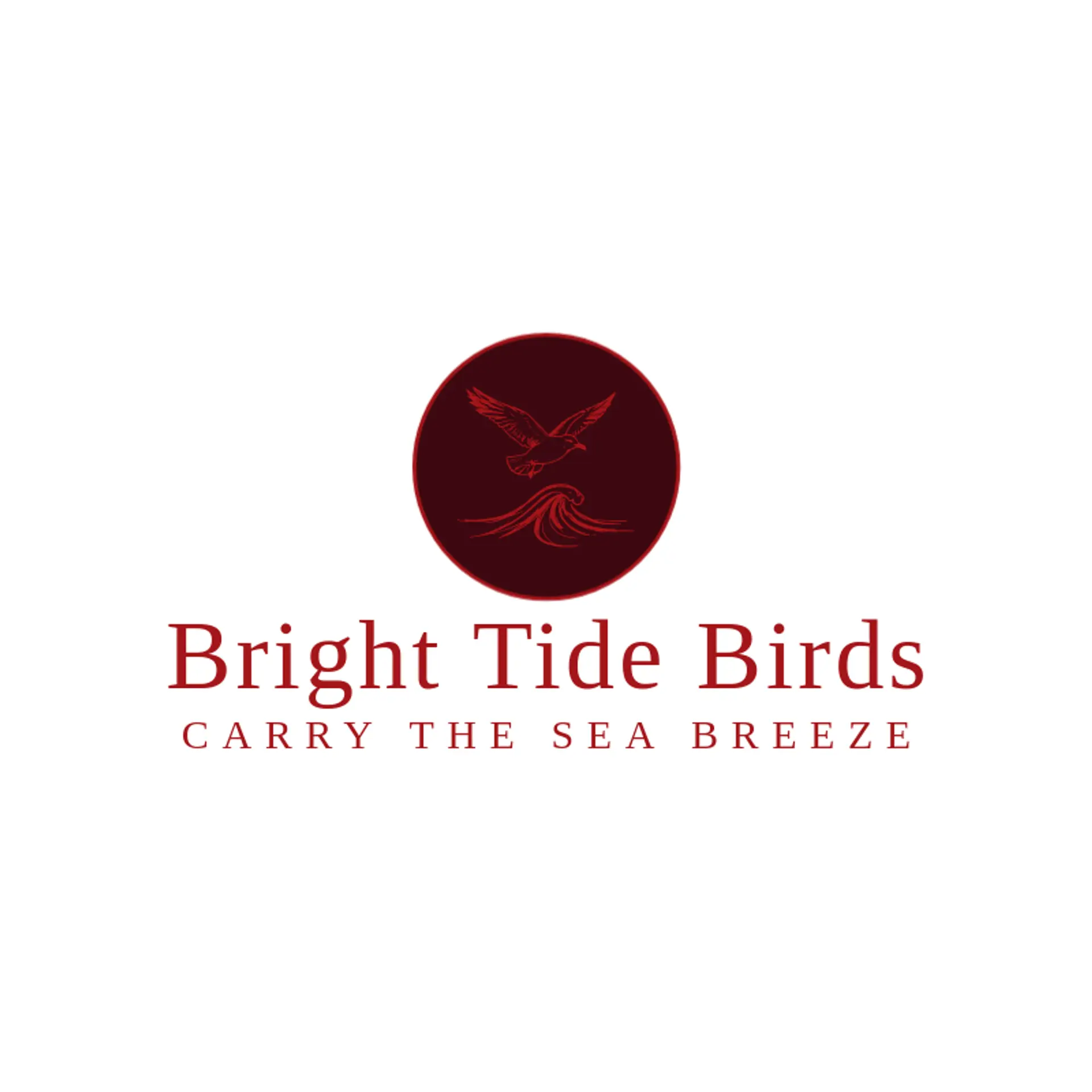 Bright Tide Birds logo for seagull