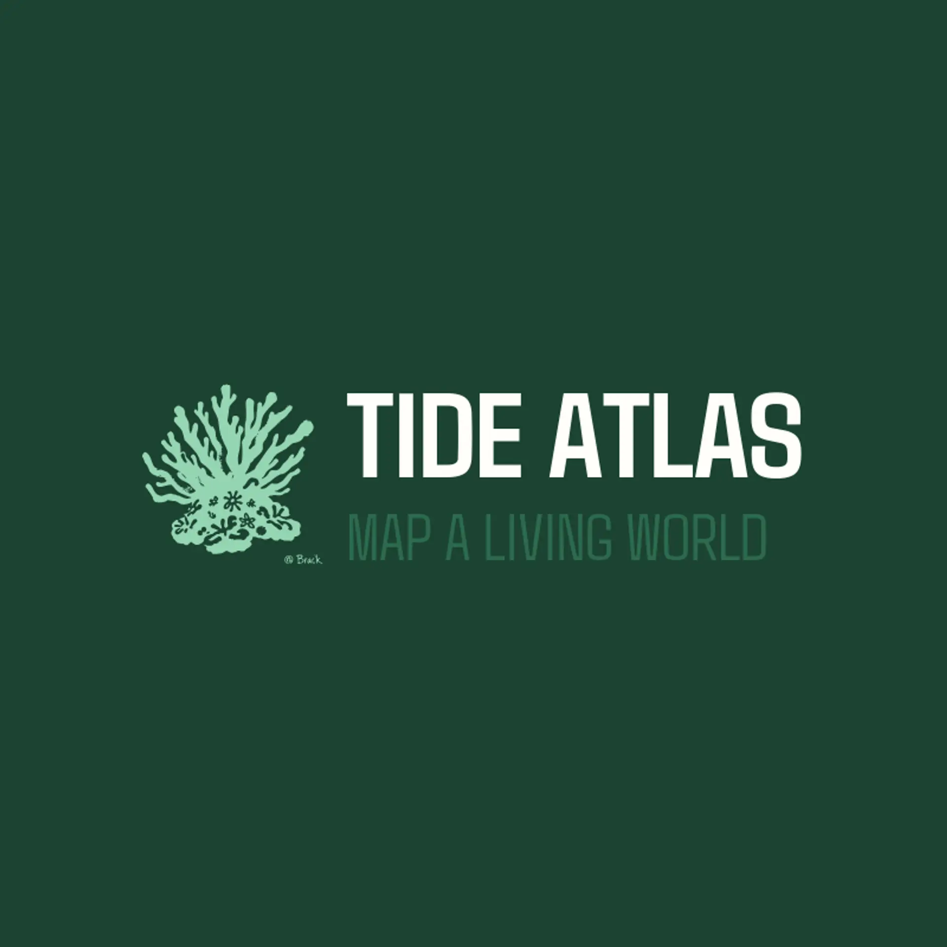 Tide Atlas logo for reef