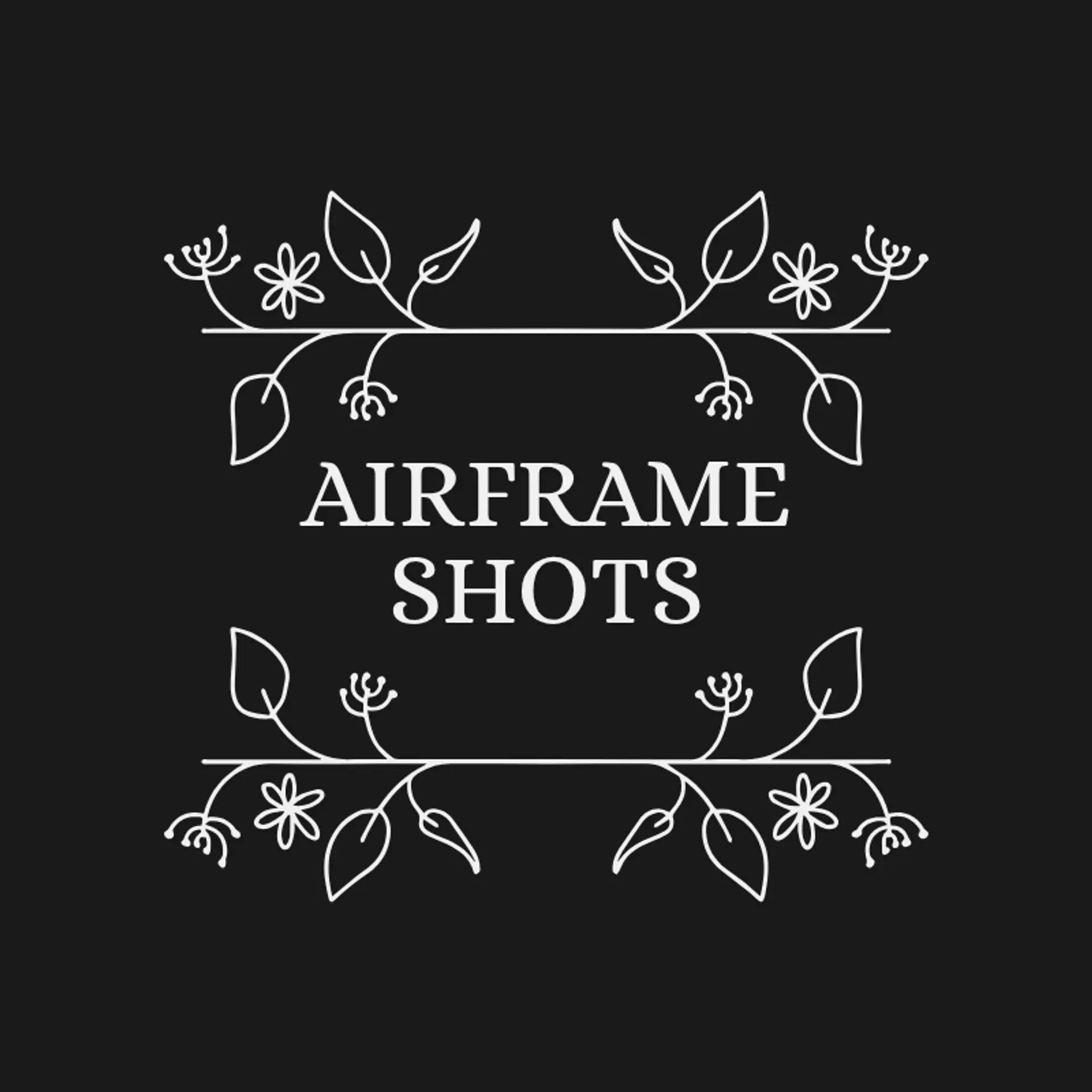 AirFrame Shots logo for aerial photography