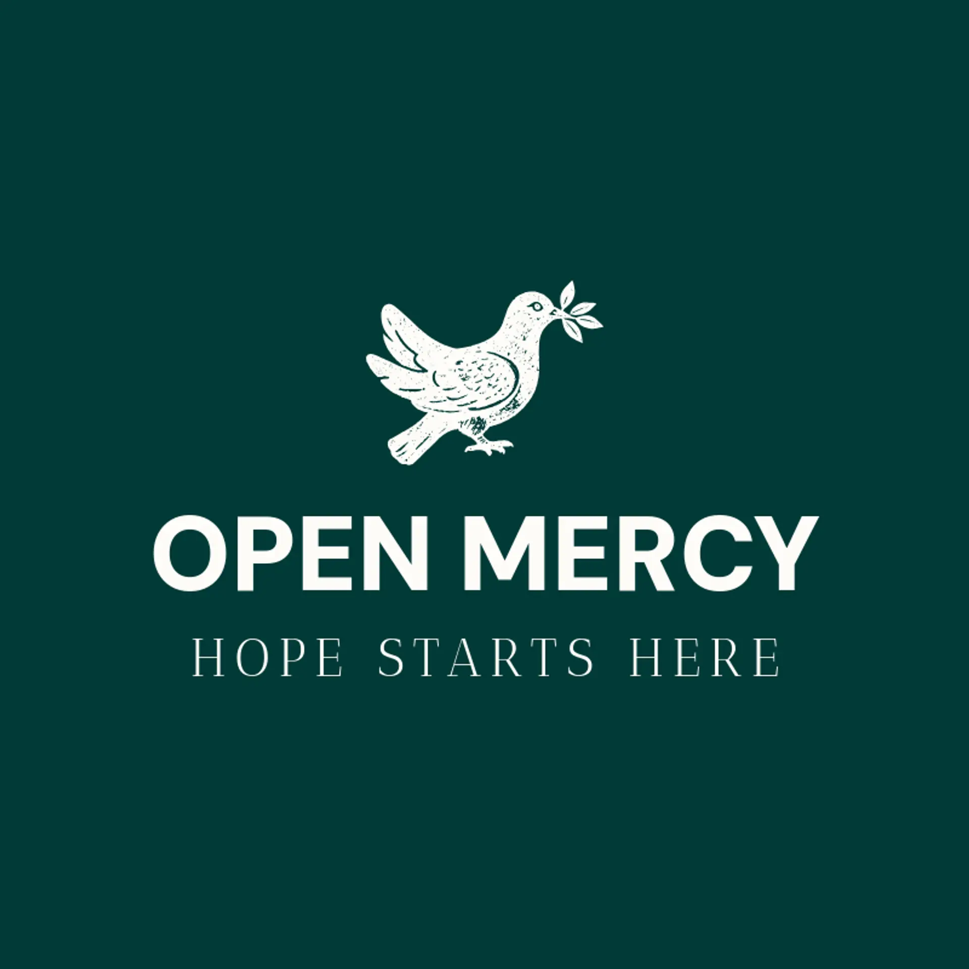Open Mercy logo for jesus