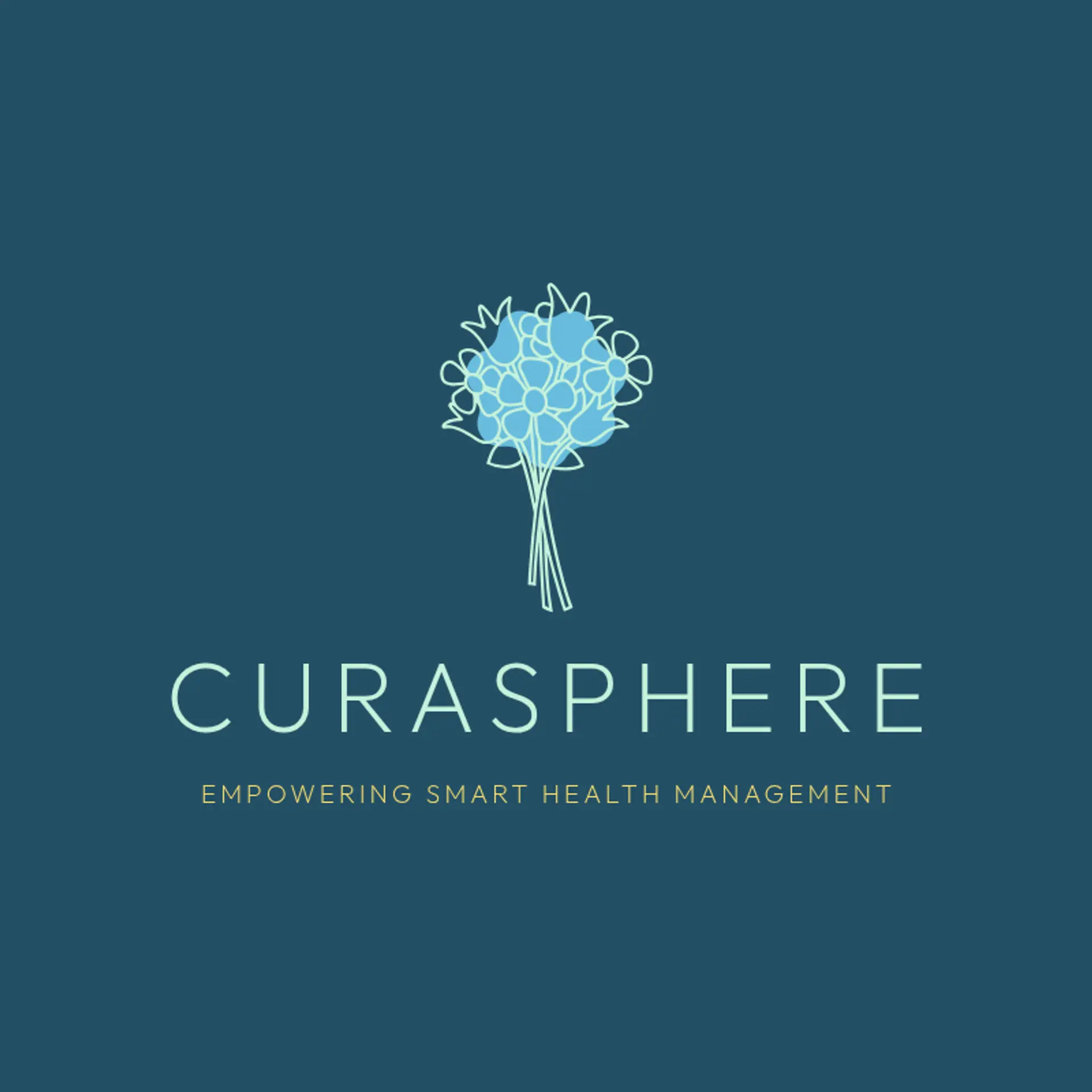 ClarityCare Solutions logo for healthcare administration