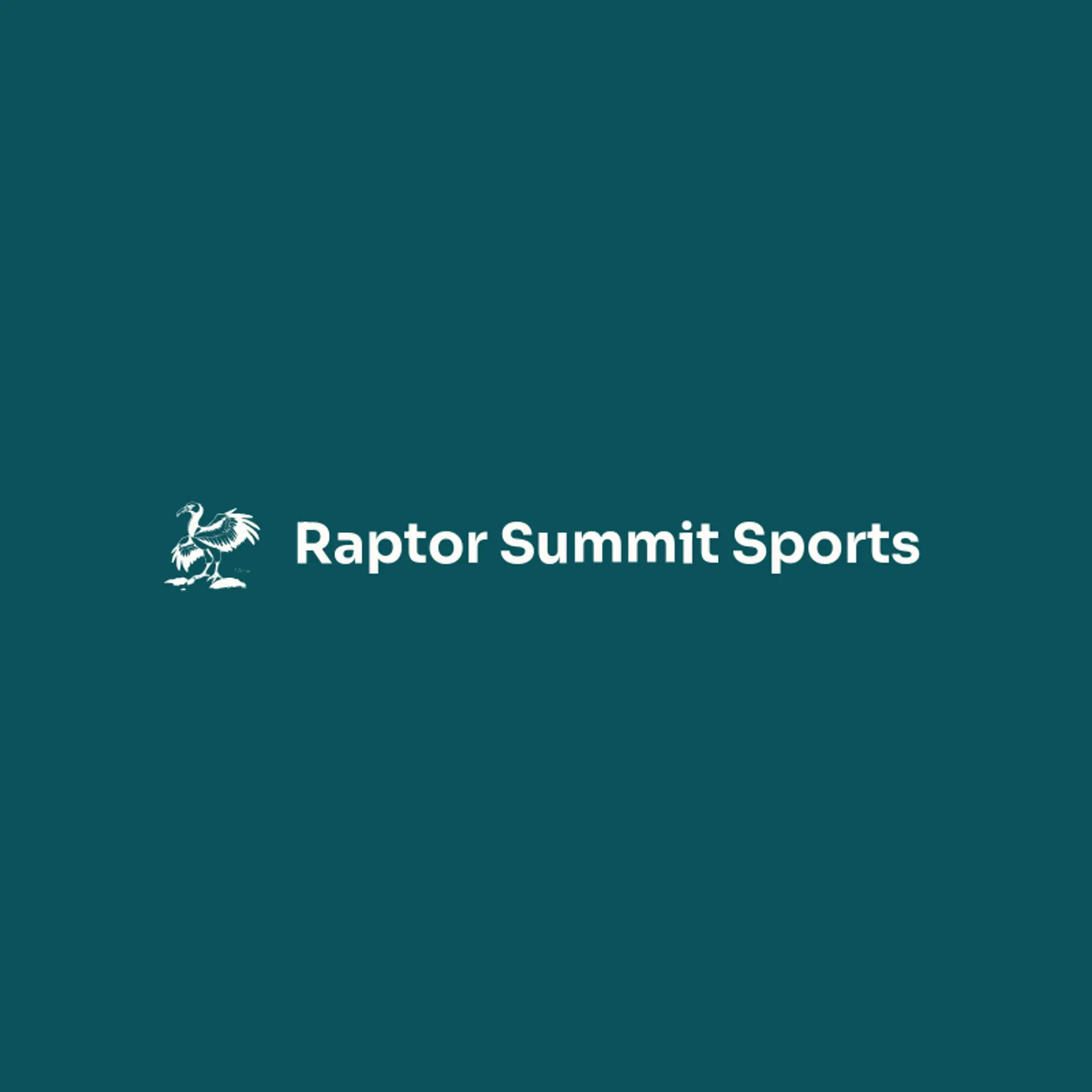 Raptor Summit Sports logo for raptor