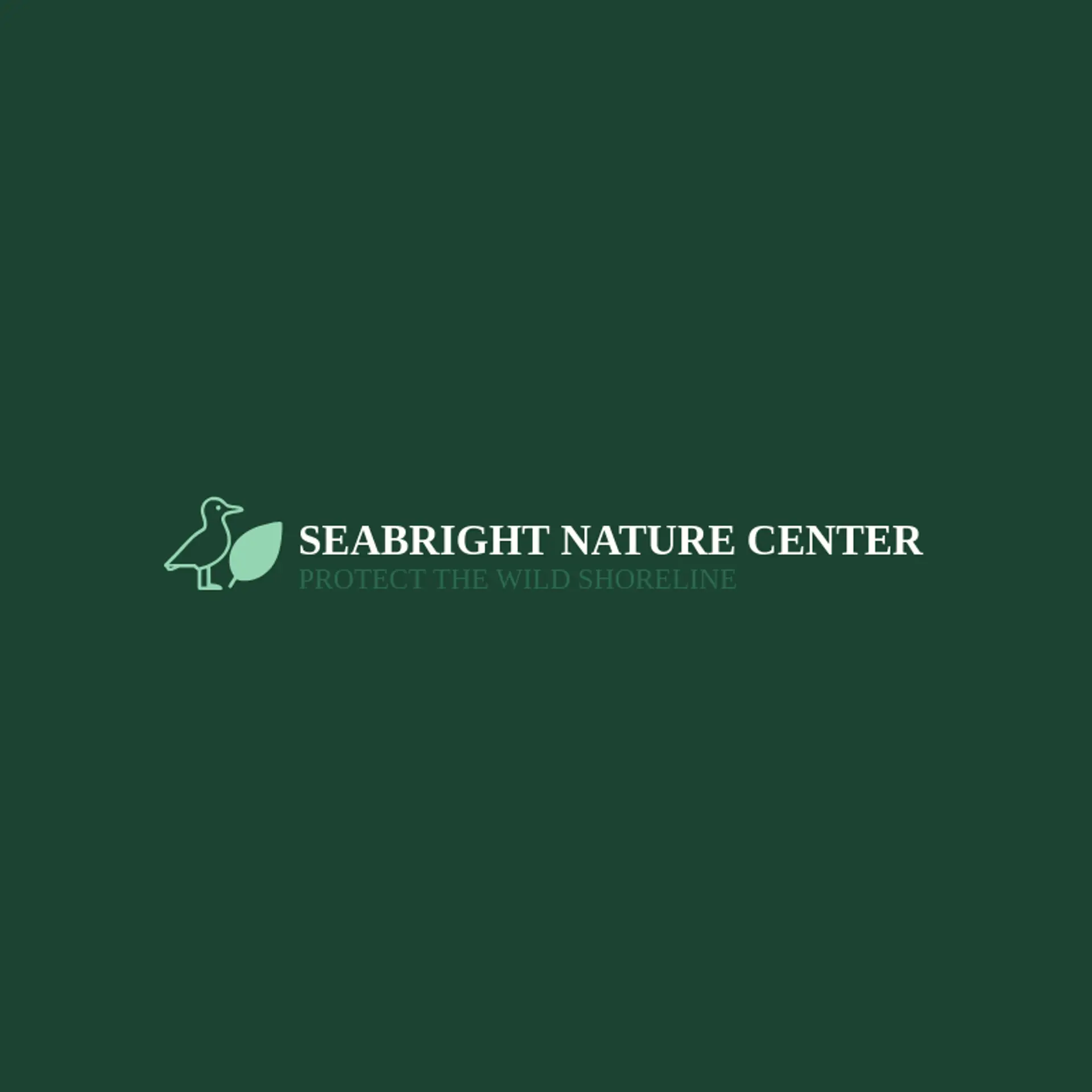 Seabright Nature Center logo for seagull