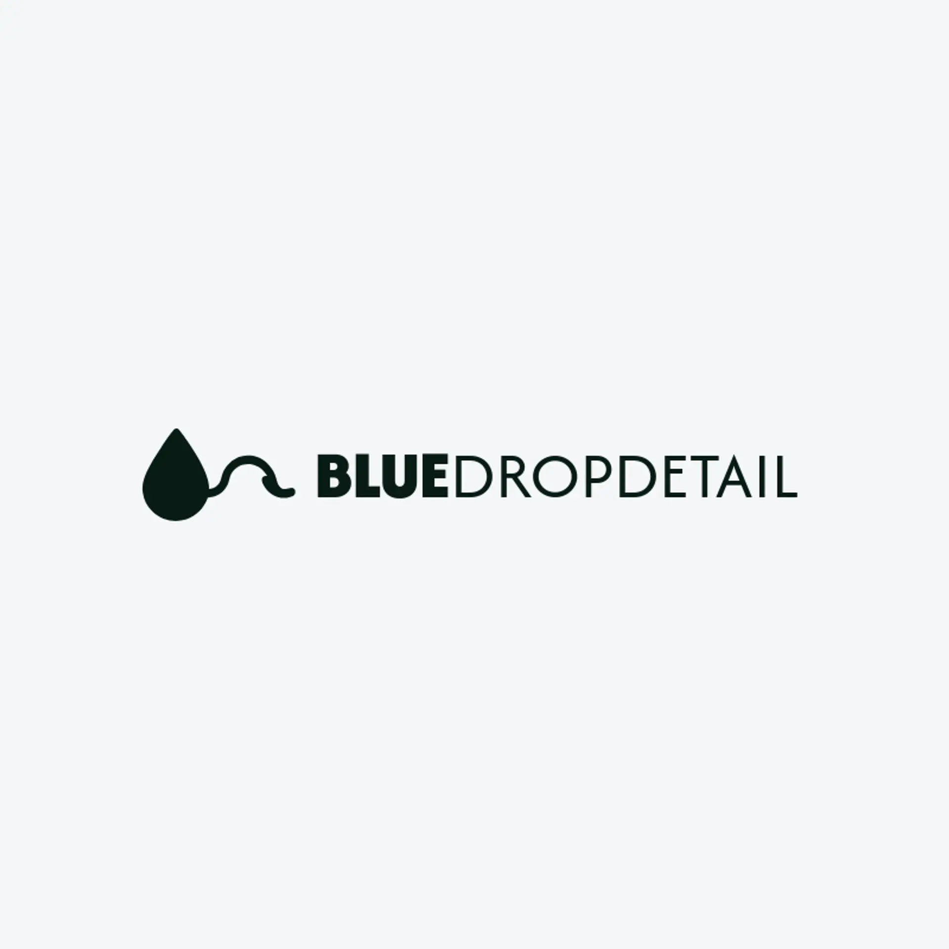 Blue Drop Detail logo for car detailing