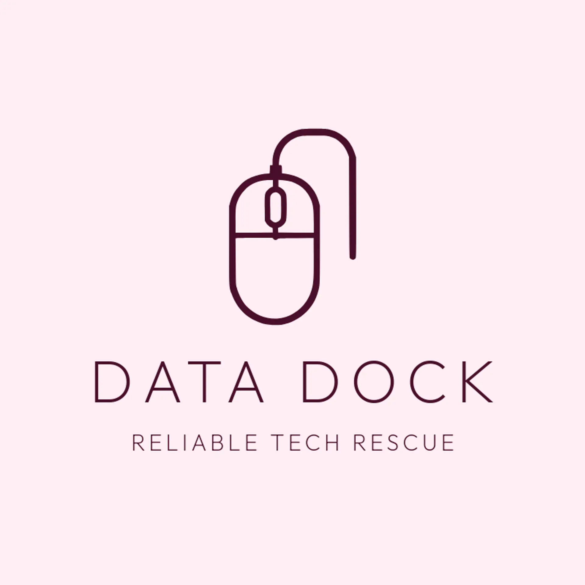 Data Dock logo for computer