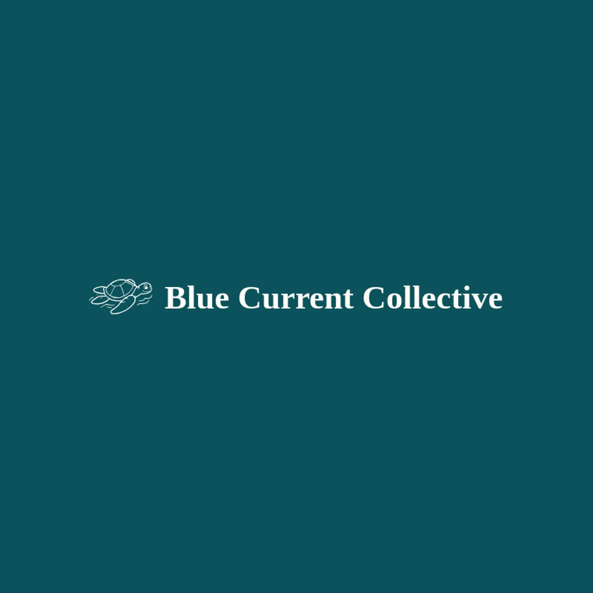 Blue Current Collective logo for sea turtle
