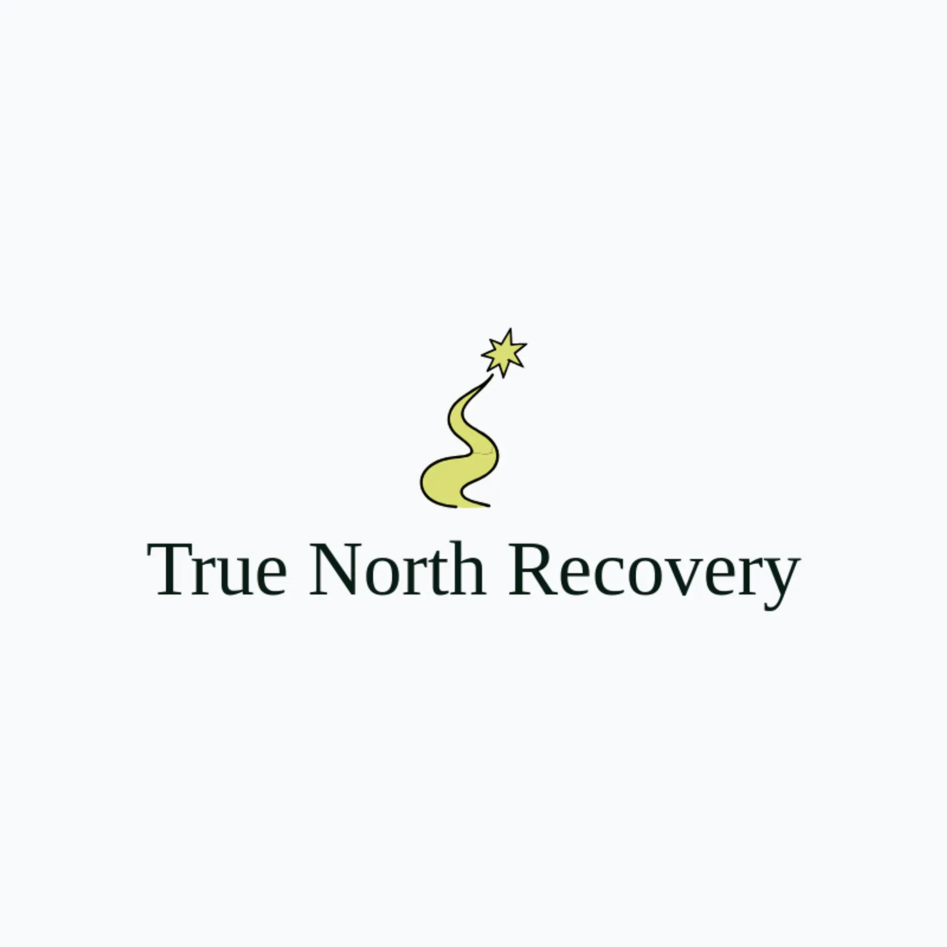 True North Recovery logo for recovery