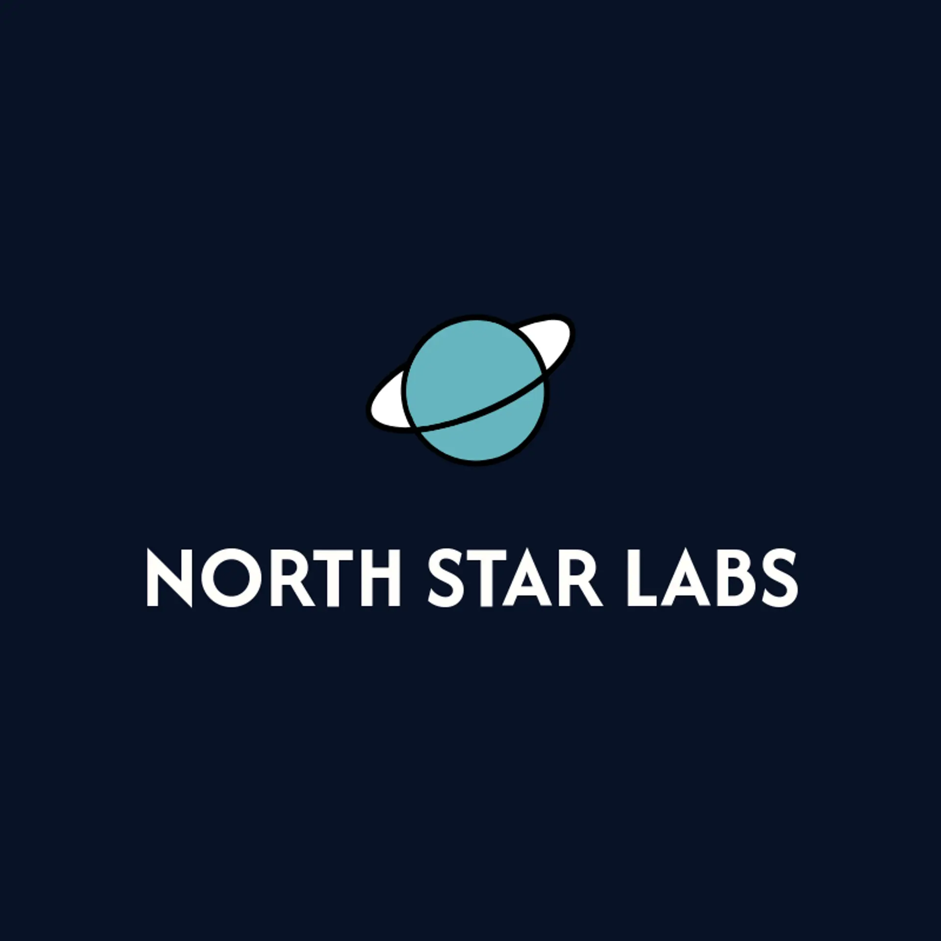 North Star Labs logo for space