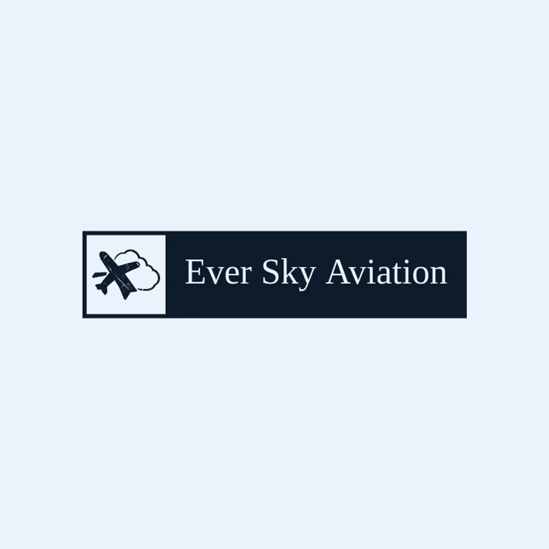 Ever Sky Aviation logo for plane