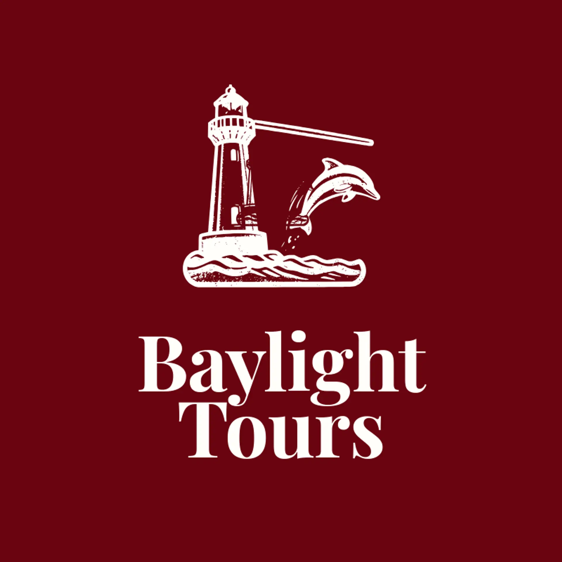 Baylight Tours logo for dolphin