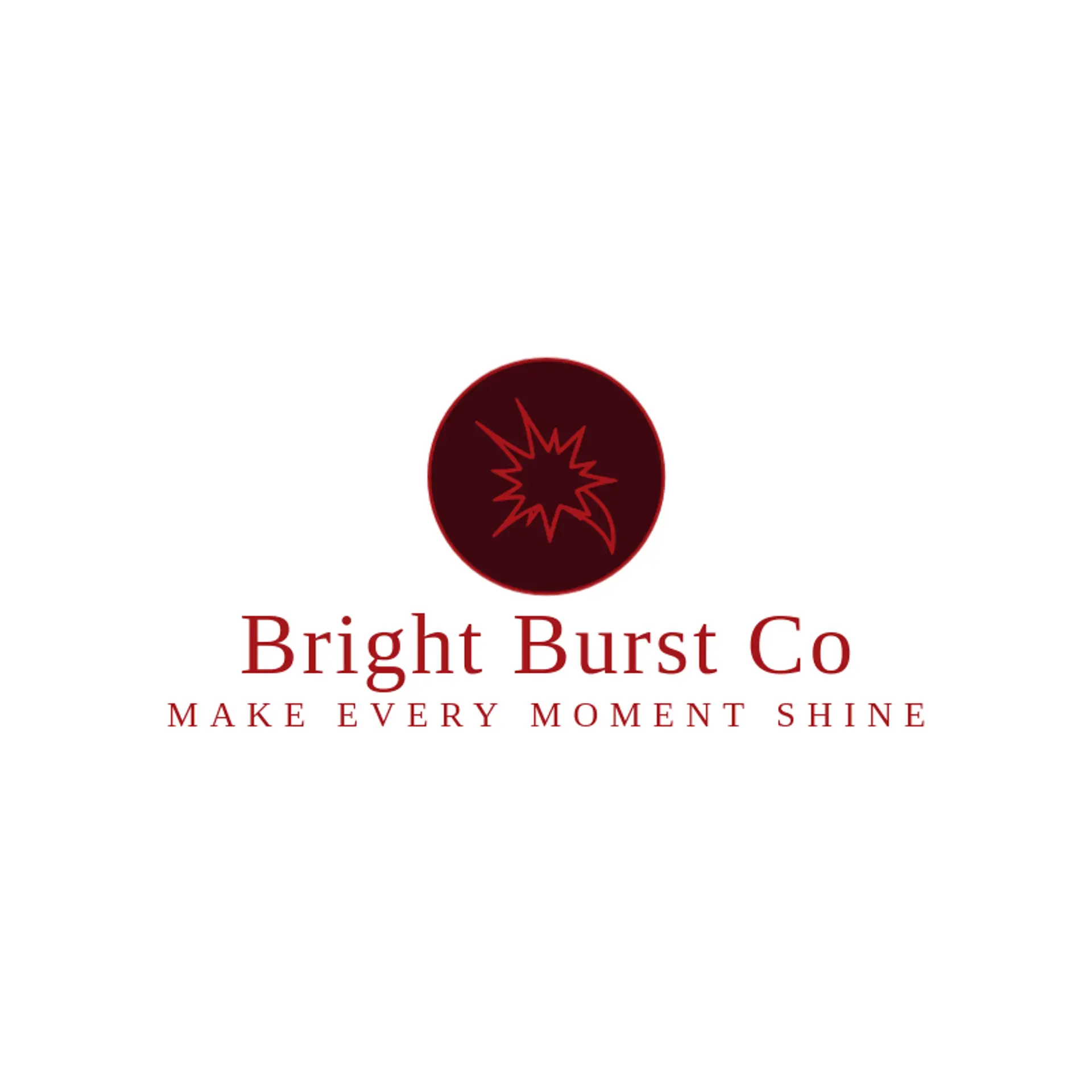 Bright Burst Co logo for flash