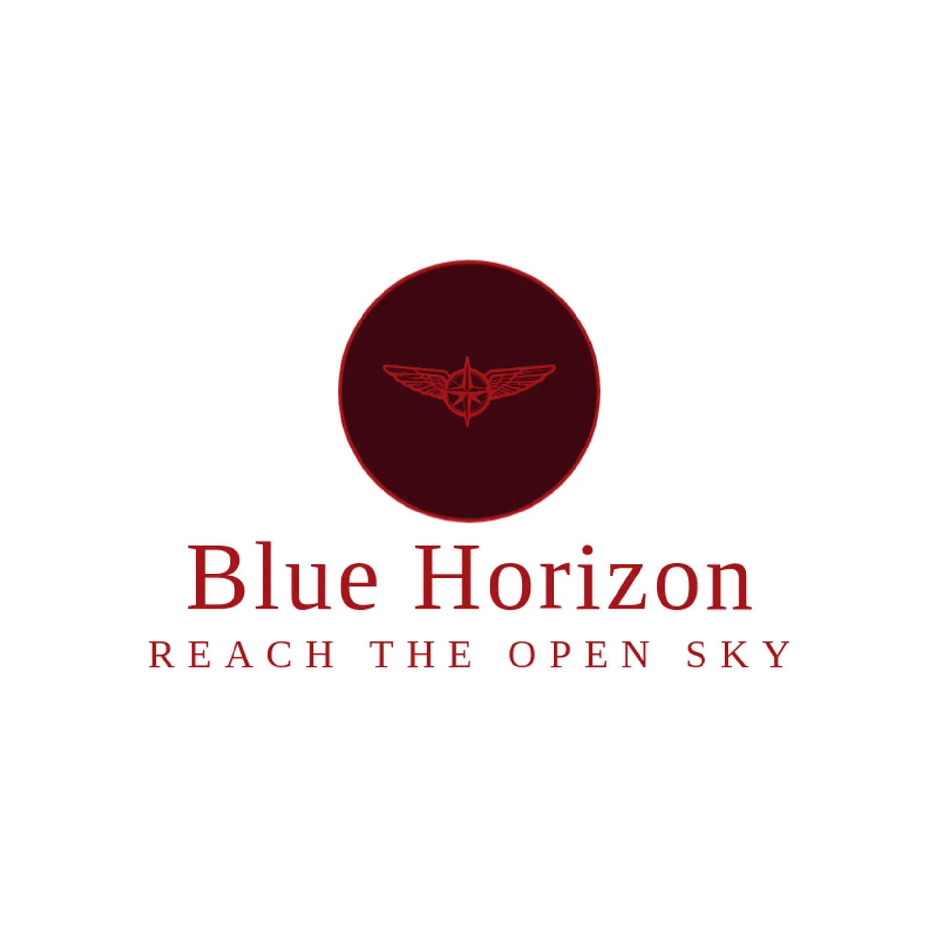 Blue Horizon logo for airforce